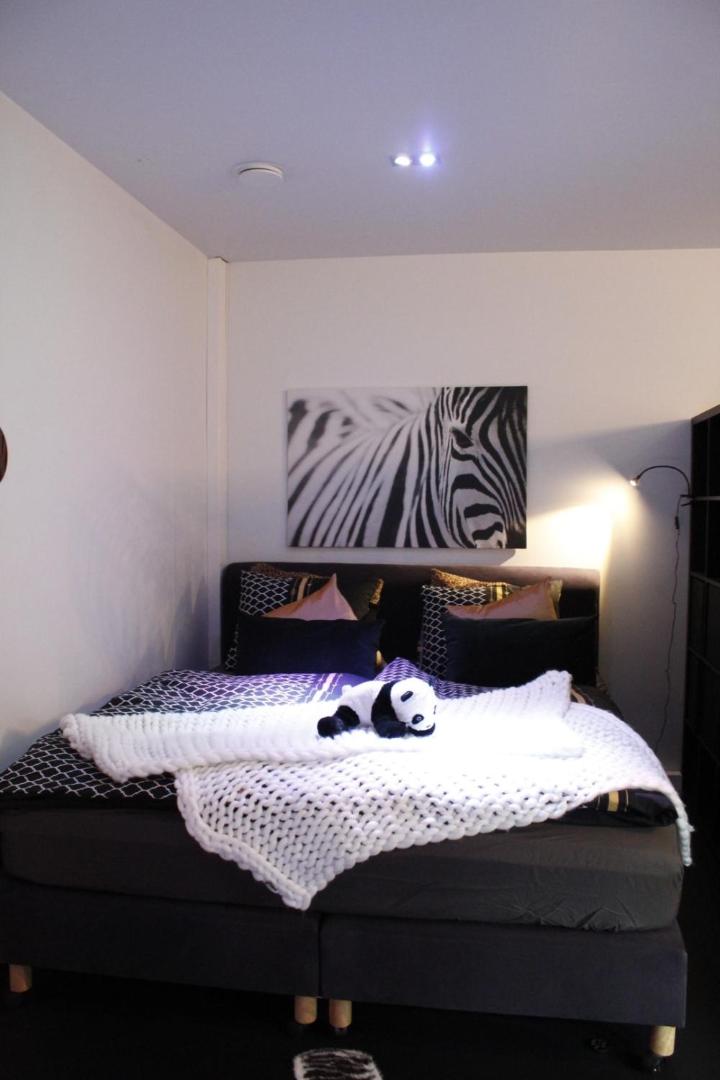 Photo 8