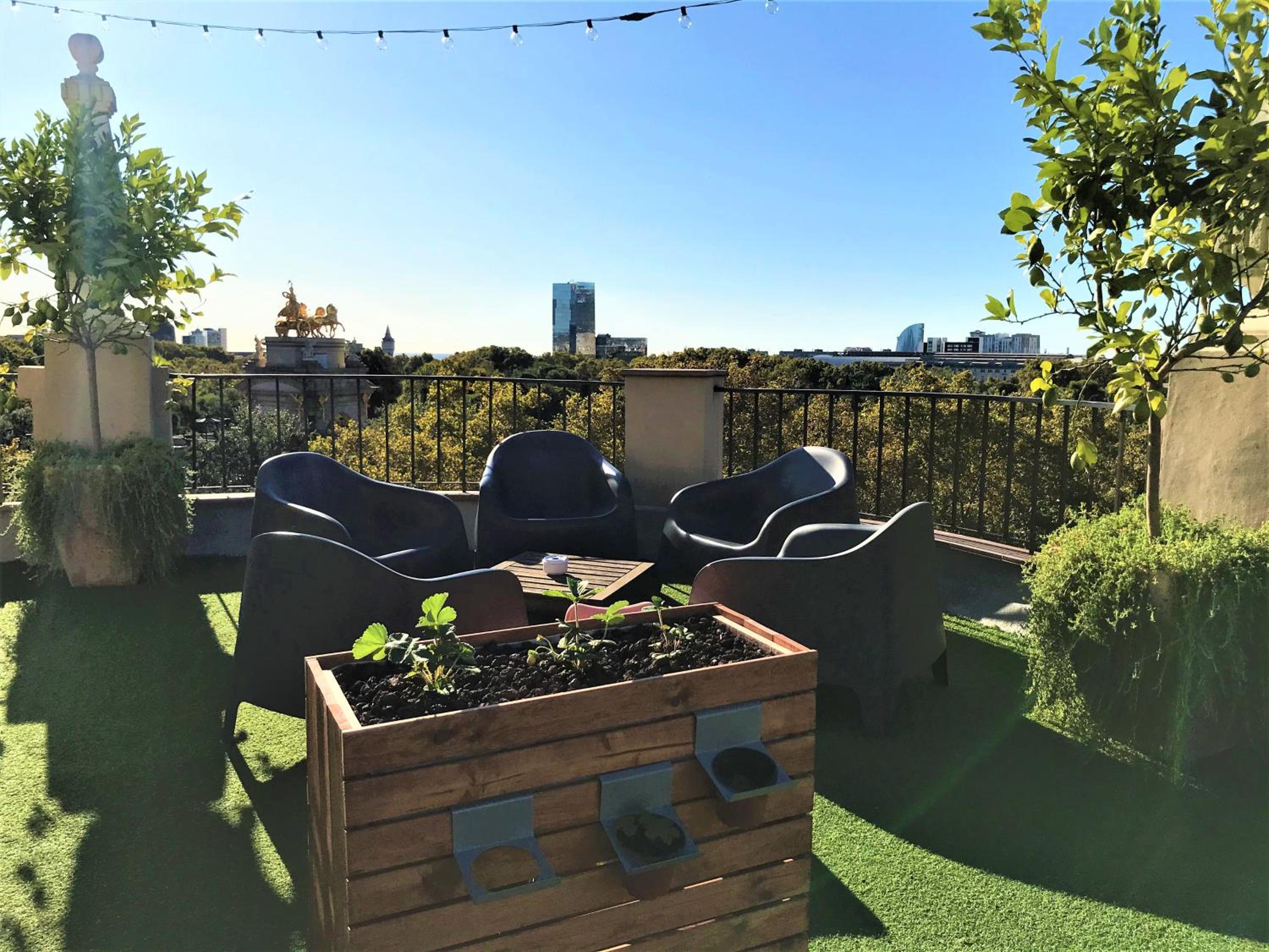 roof