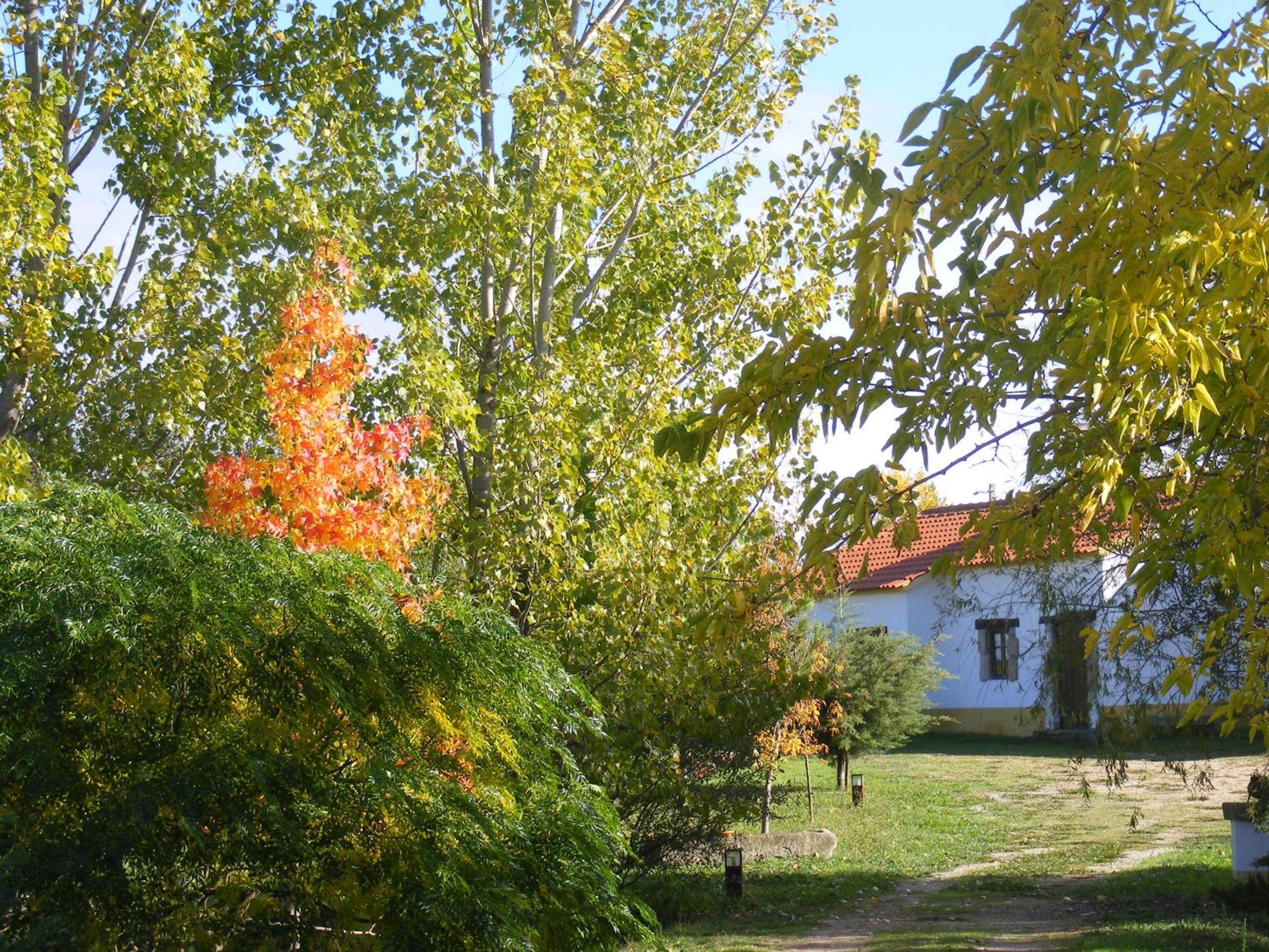 Photo 22