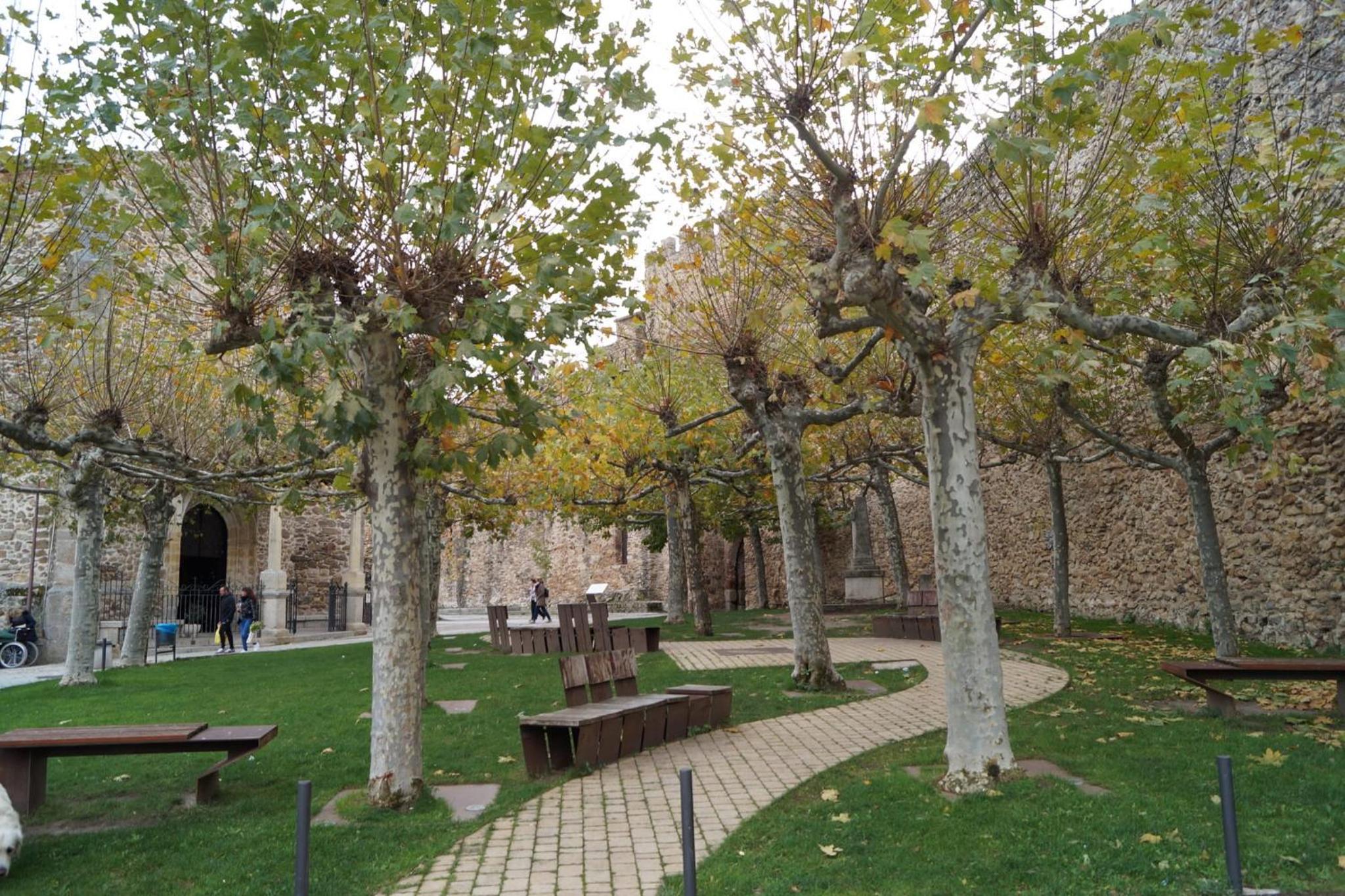 Photo 8