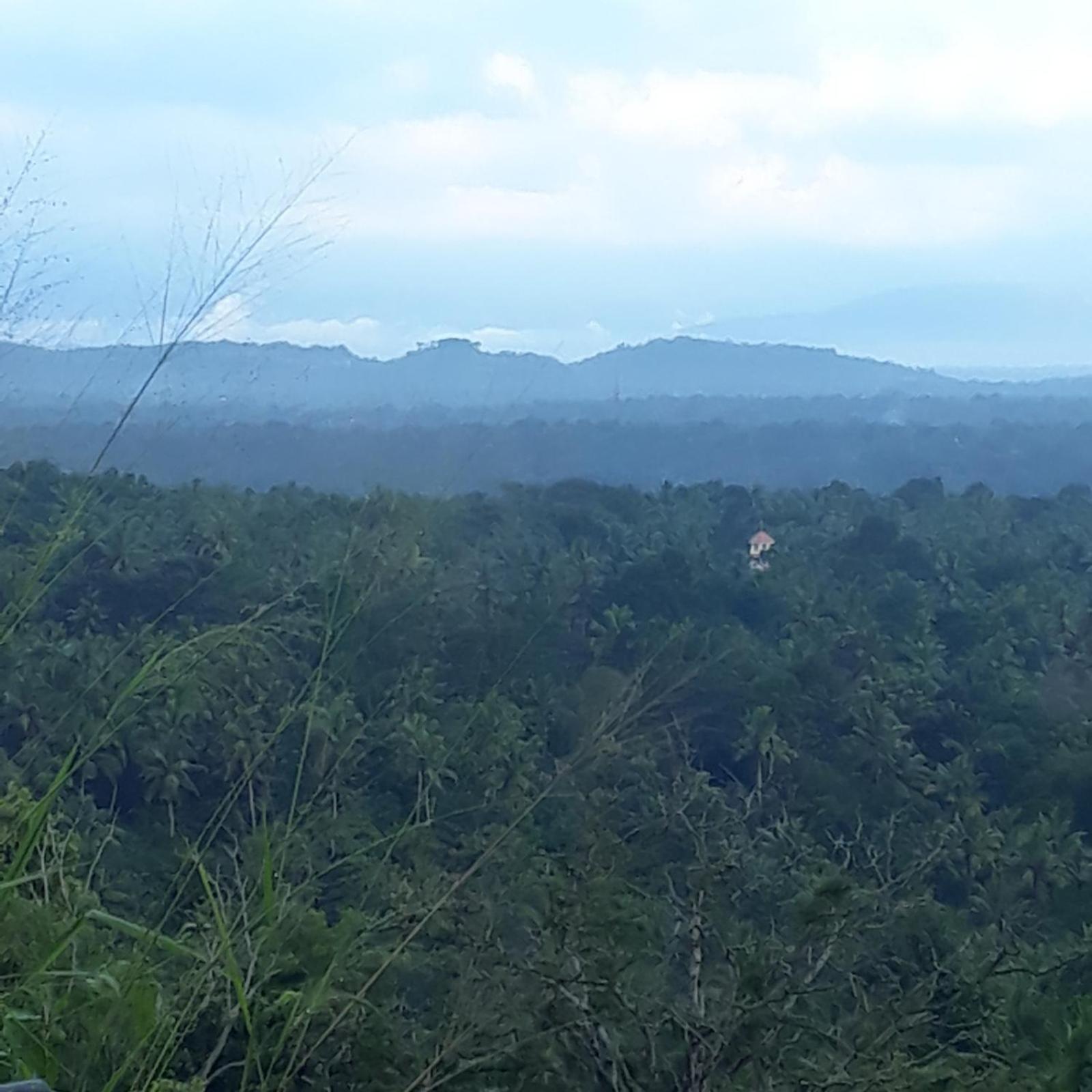 Kovalam Vacations - AMARA AYURVEDA RETREAT- Overlooking Evergreen Western Ghats an ecologically sustainable living space in Kovalam - Property Image 83