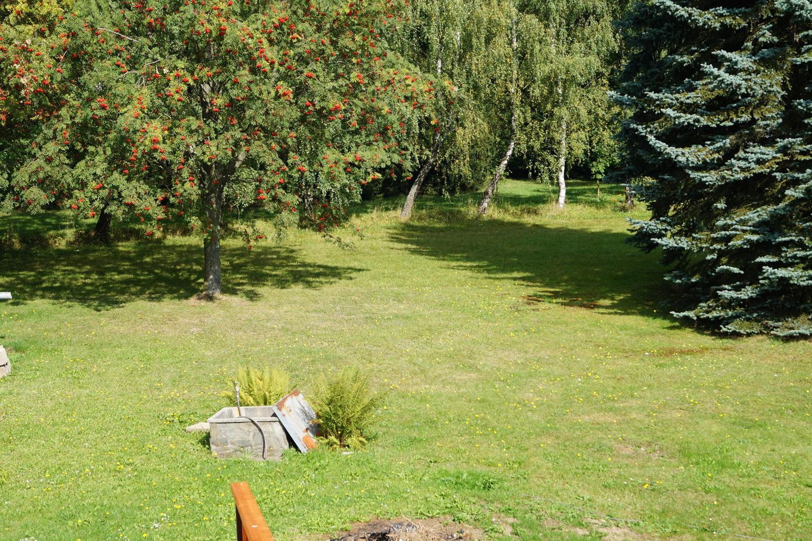 Photo 45