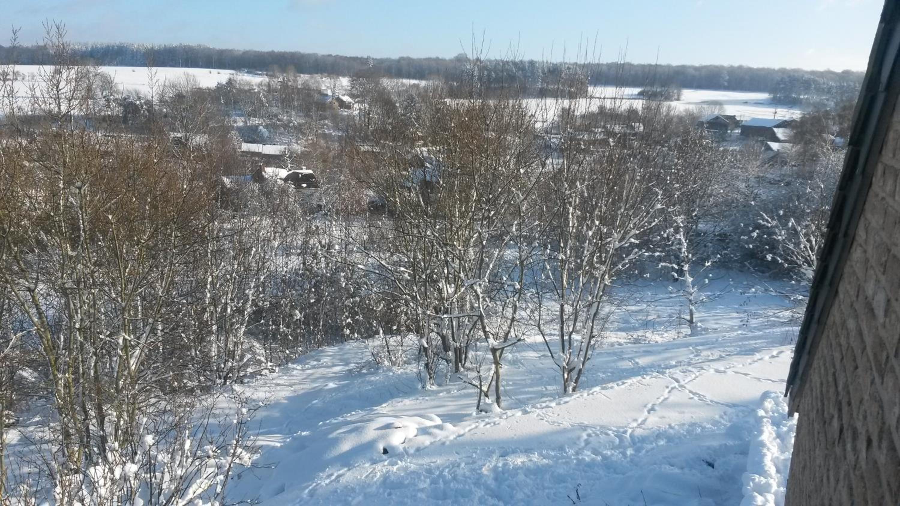 Photo 14