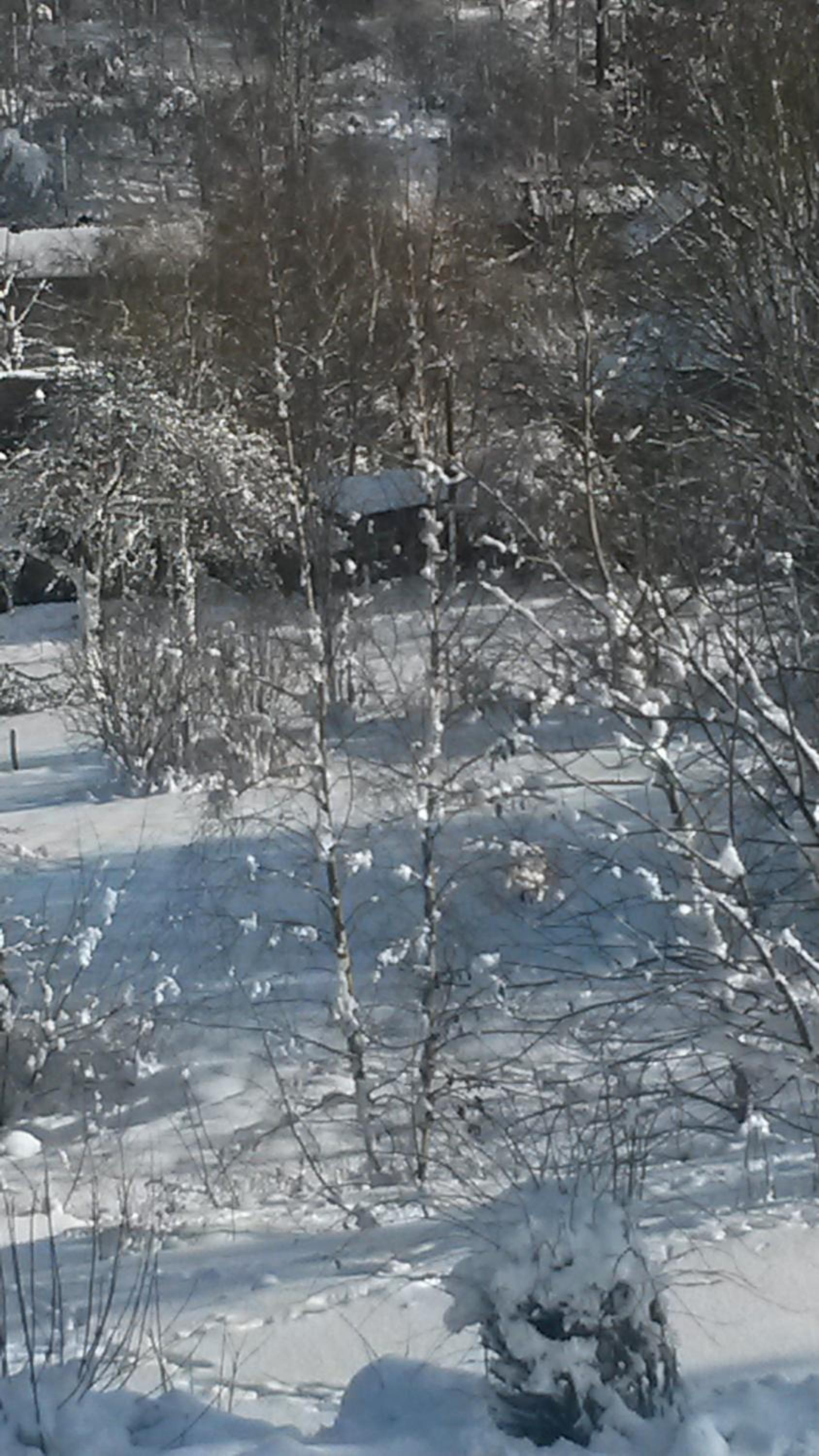 Photo 12