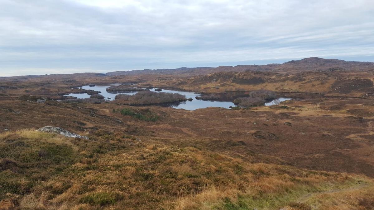 Cruachan Guest House