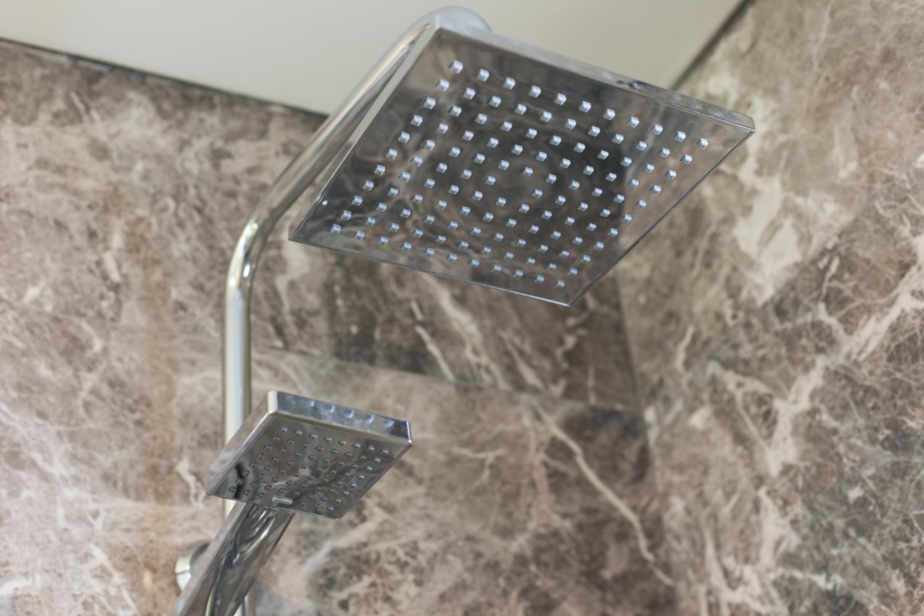 The Fox Otel - Image 23