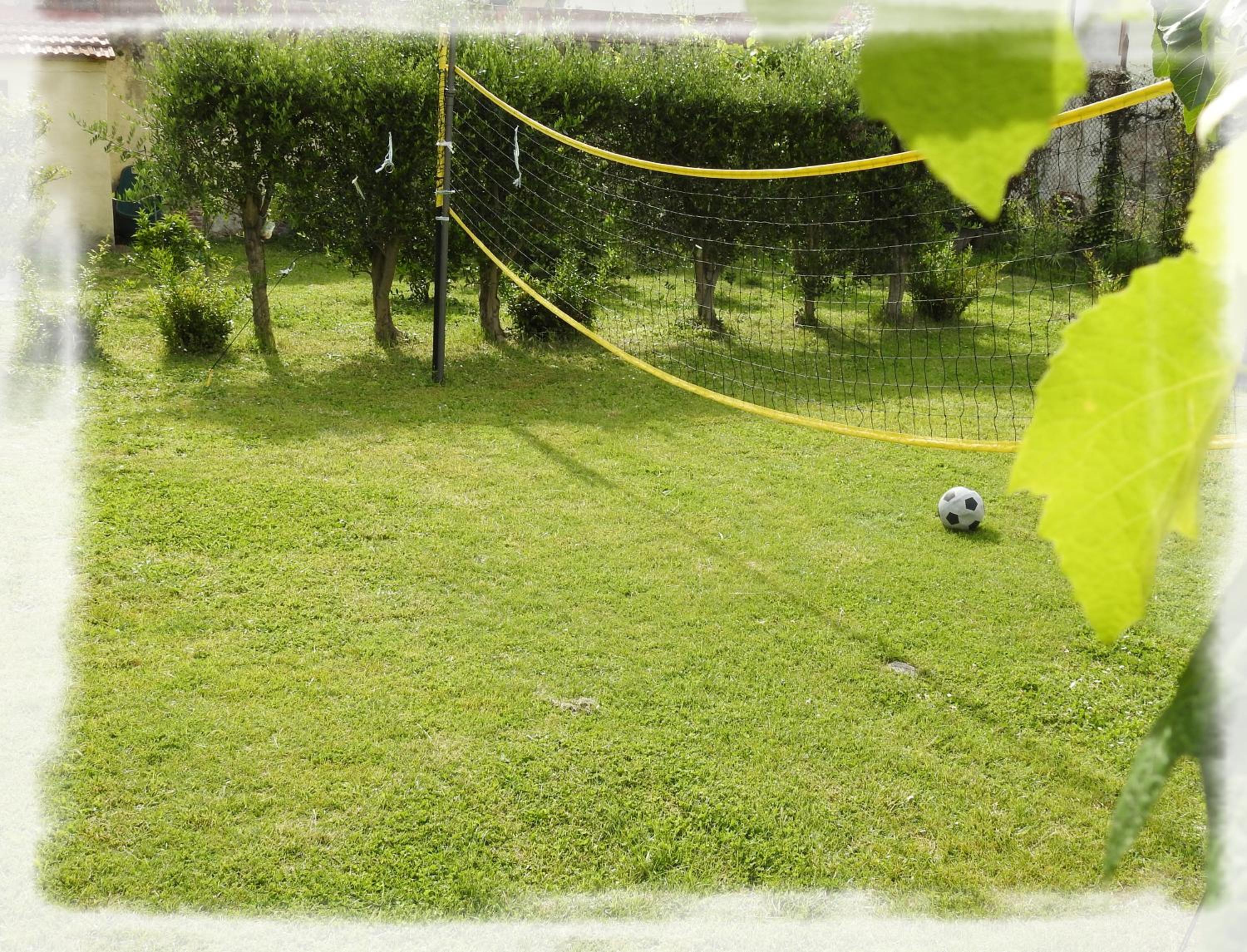 Photo 44