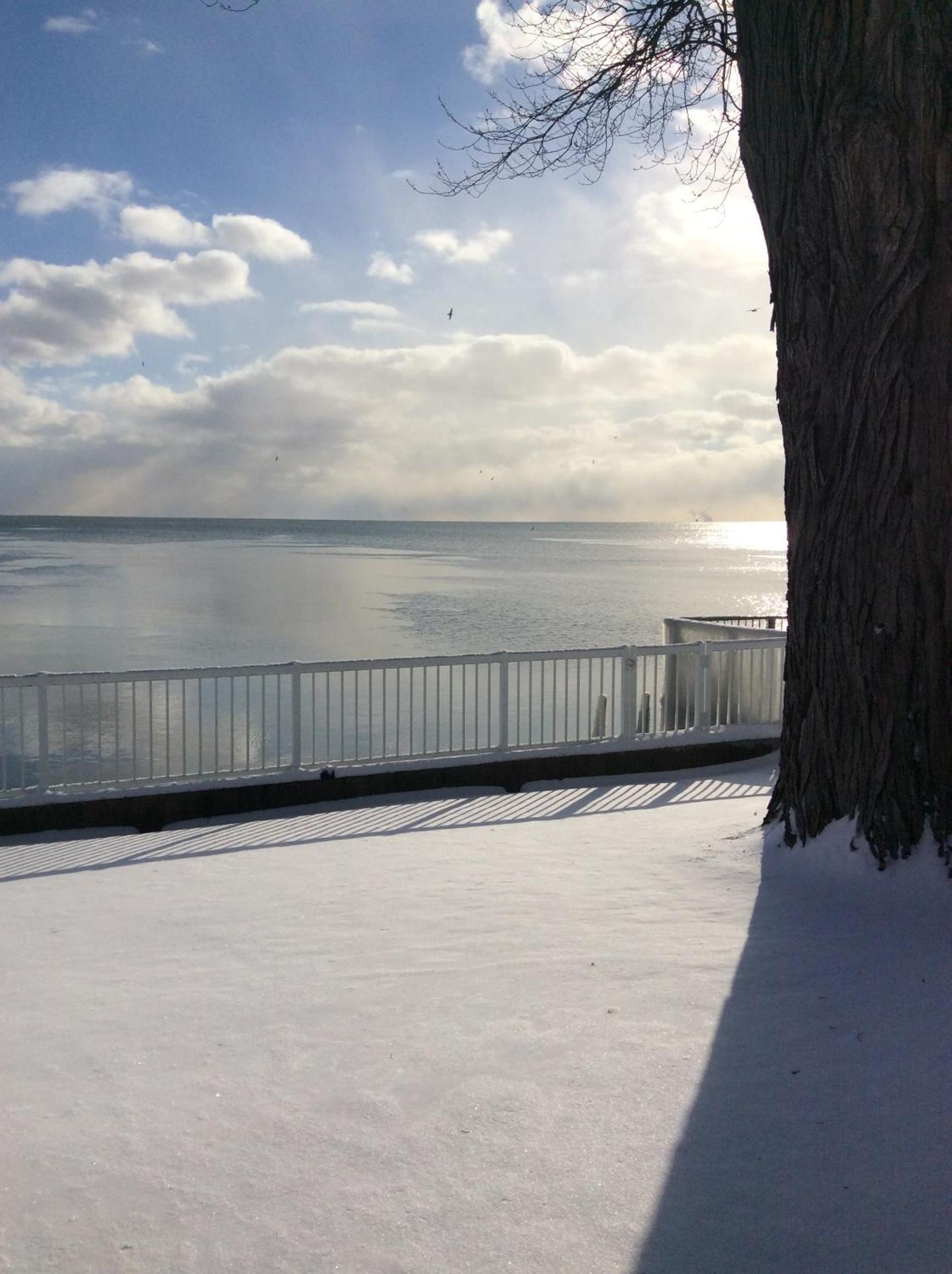 A Day at the Lake Cottage