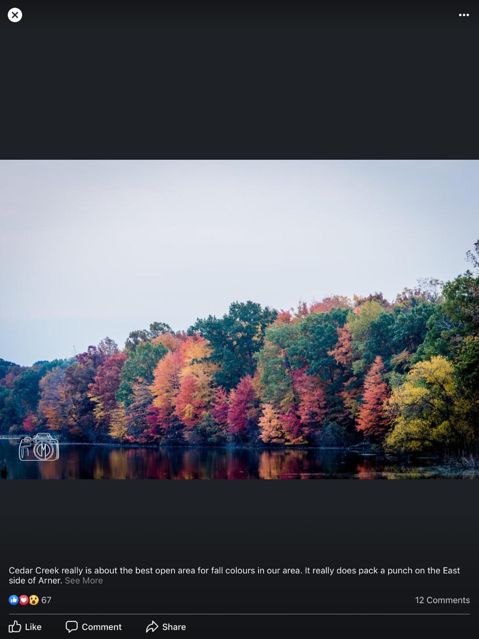 A Day at the Lake Cottage