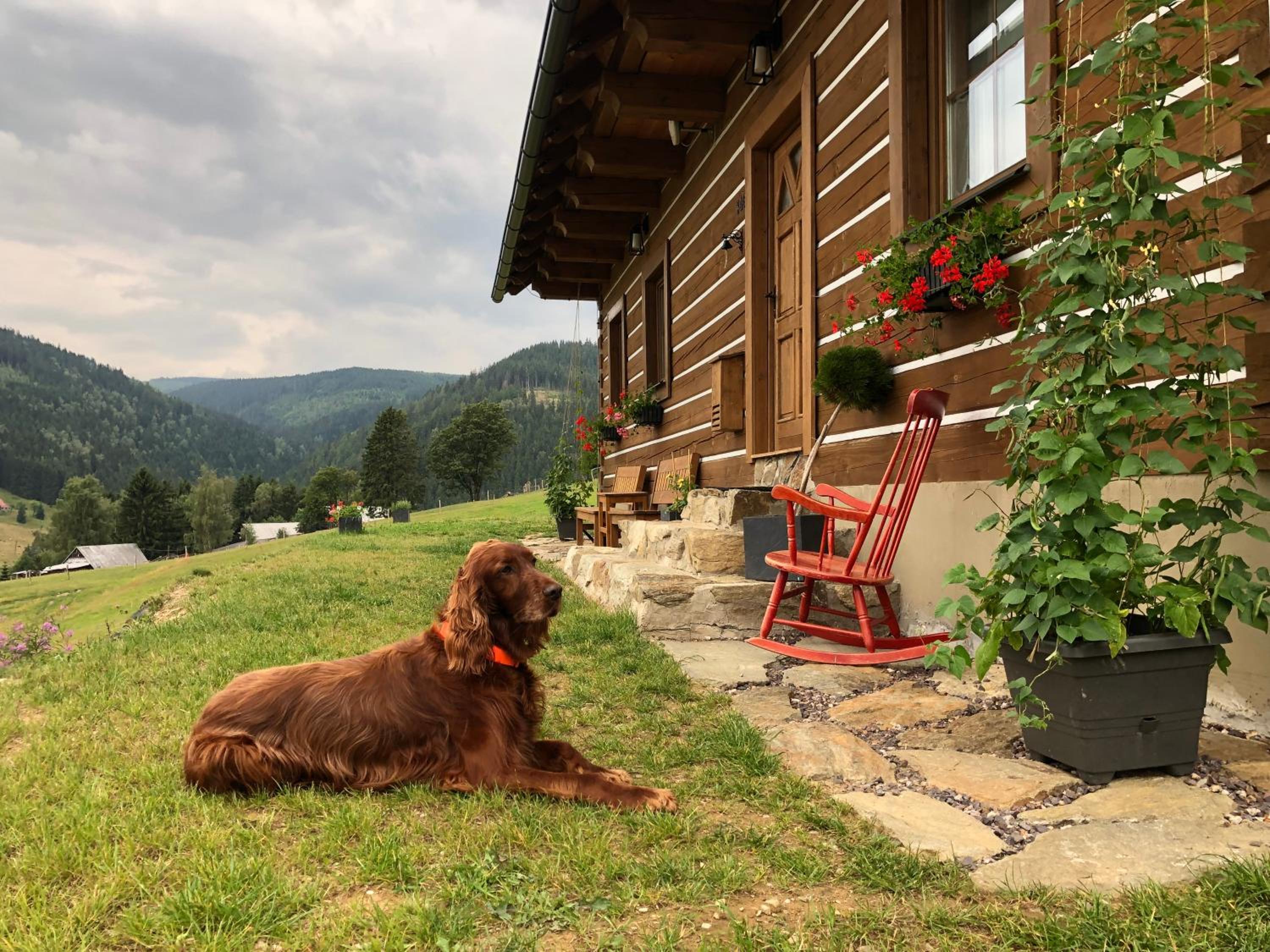 Apartmán U Setra