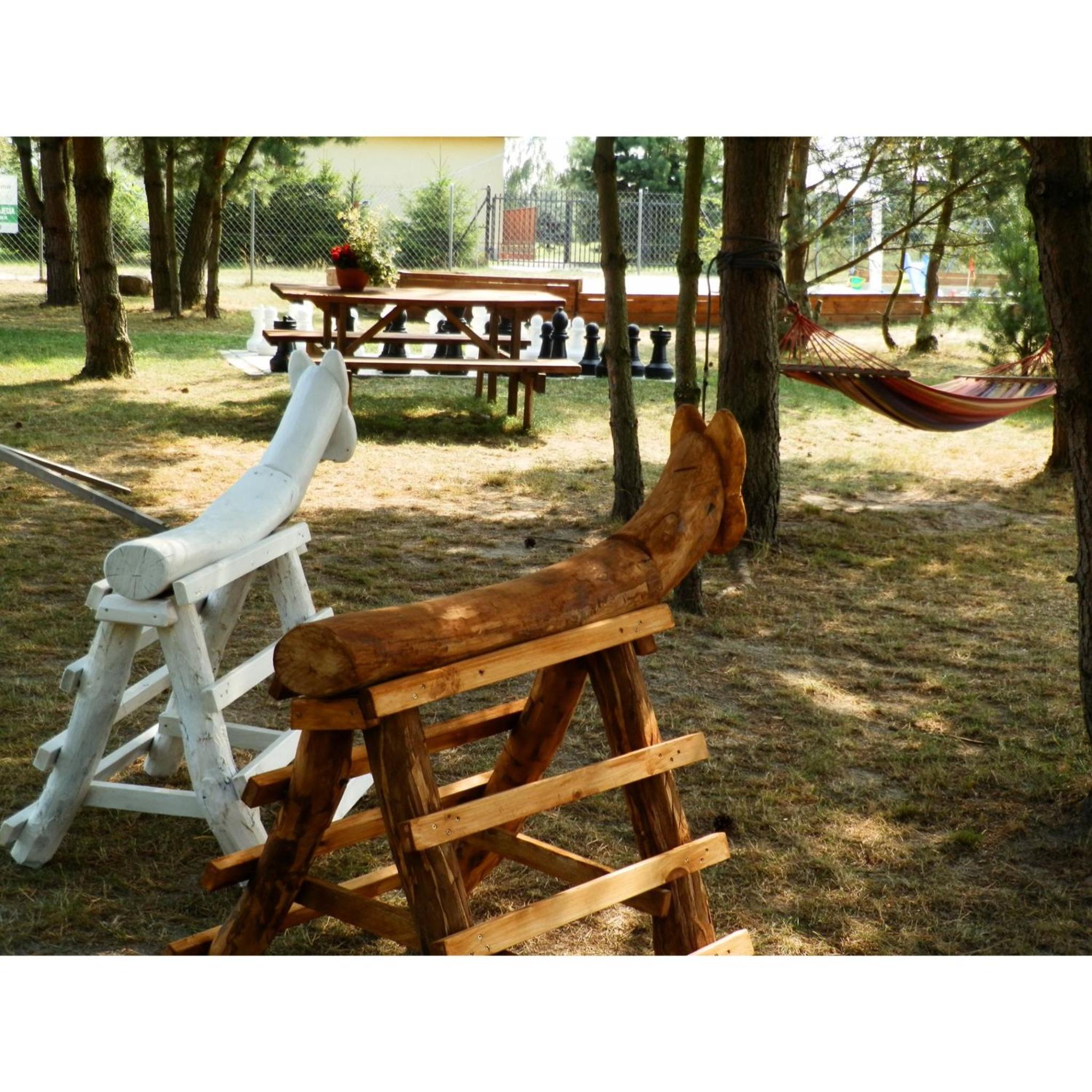 Photo 46