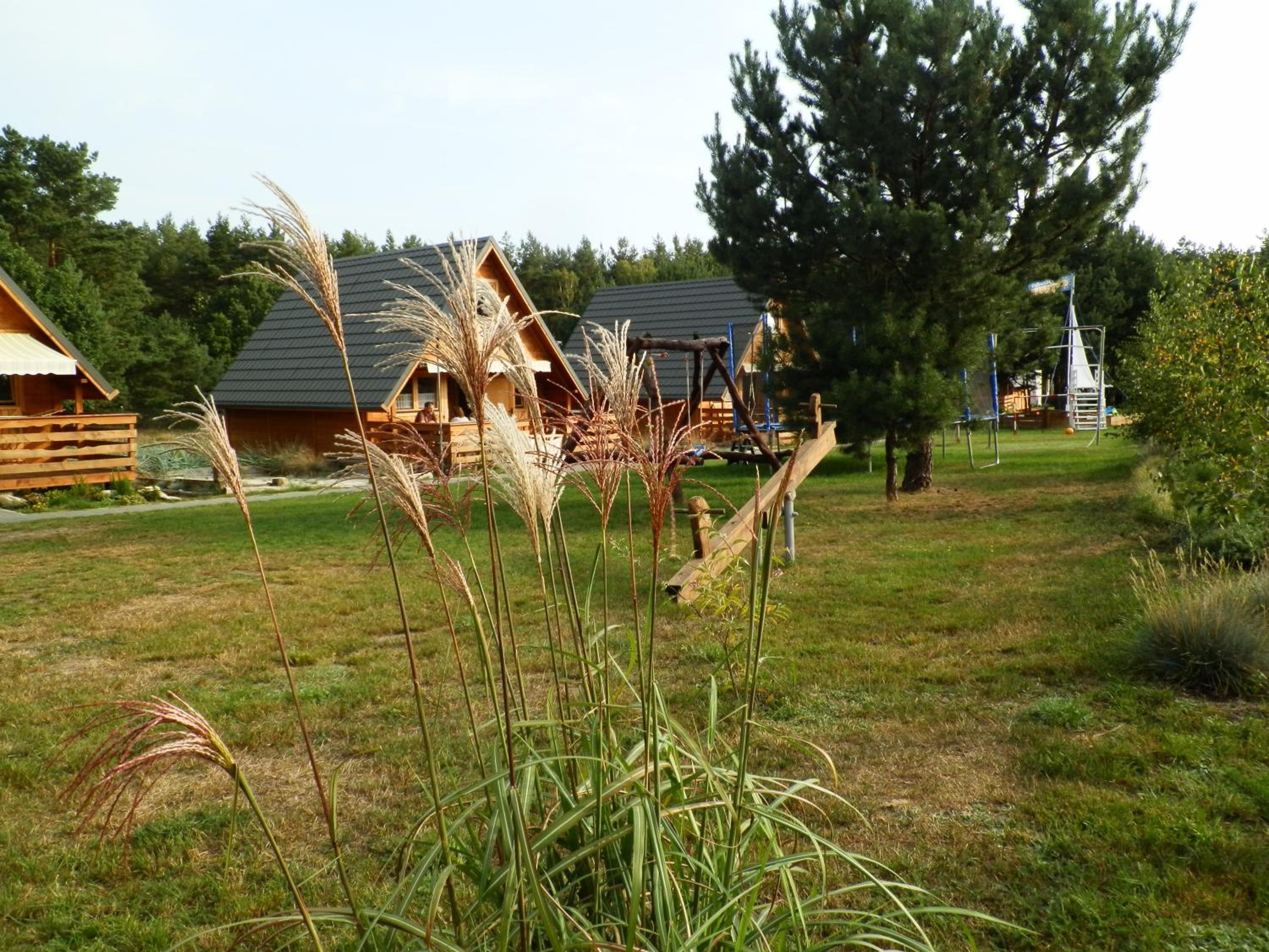 Photo 52