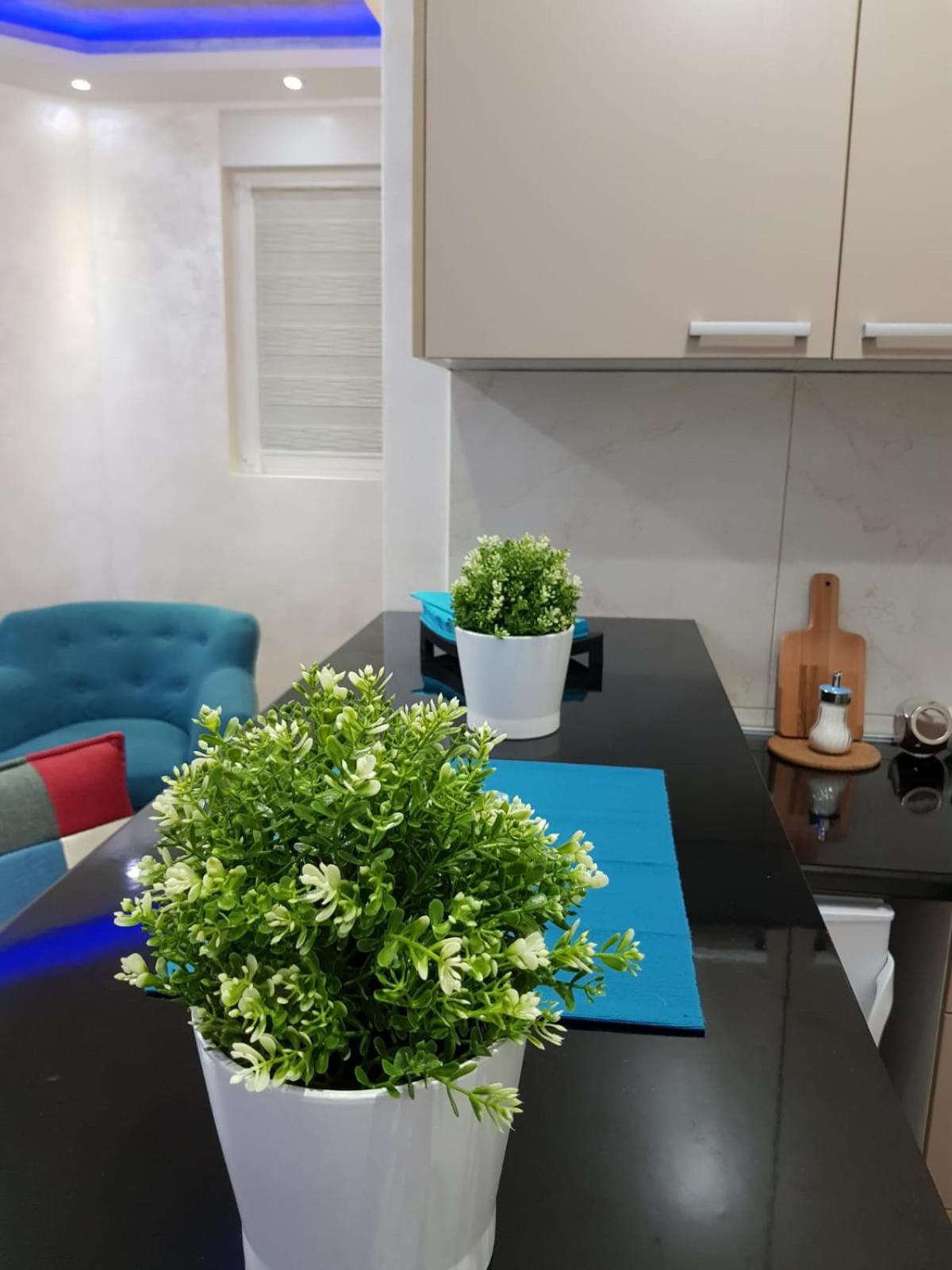 Apartmani Venera view 3
