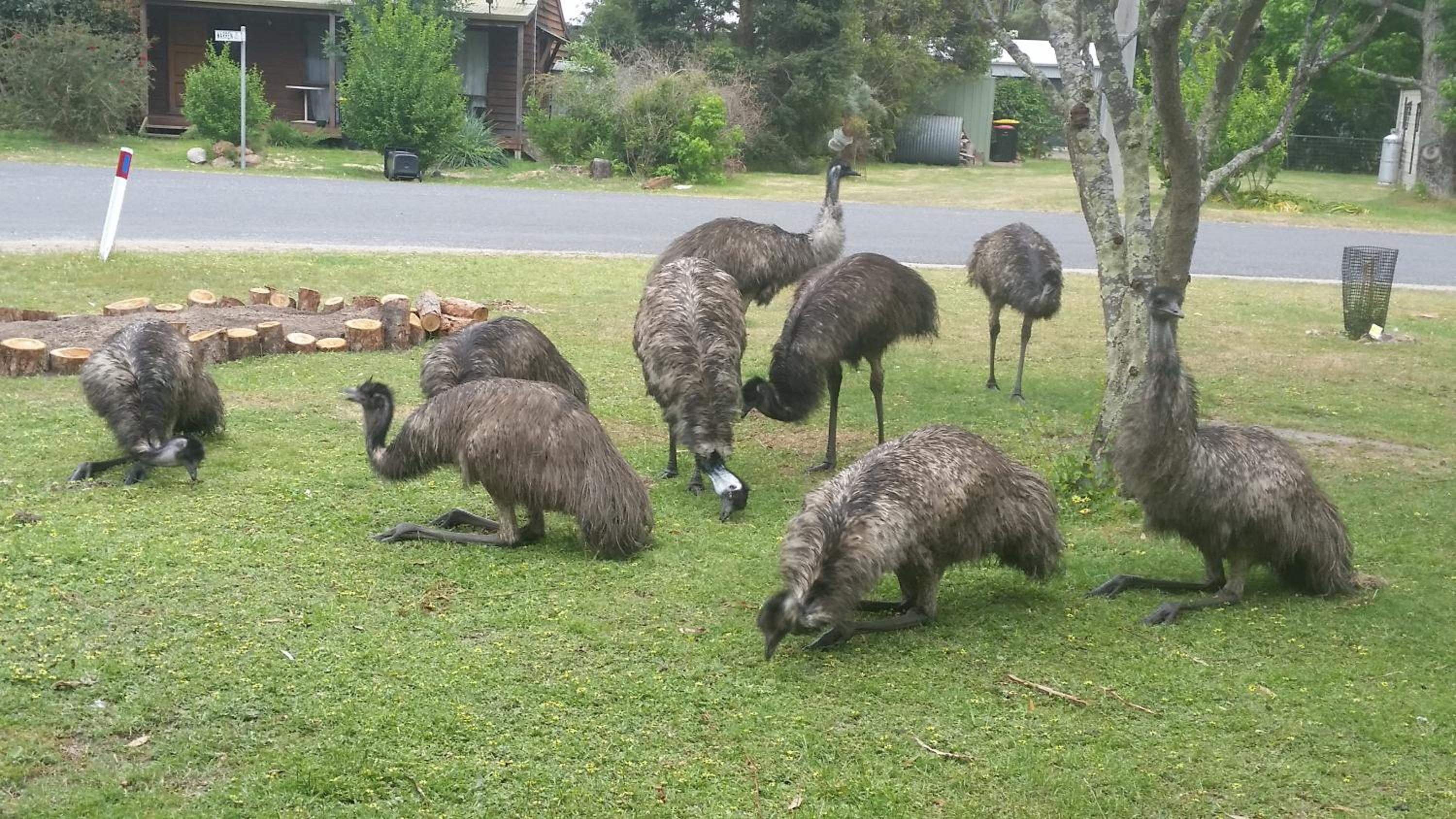 YHA Grampians Eco, Halls Gap
