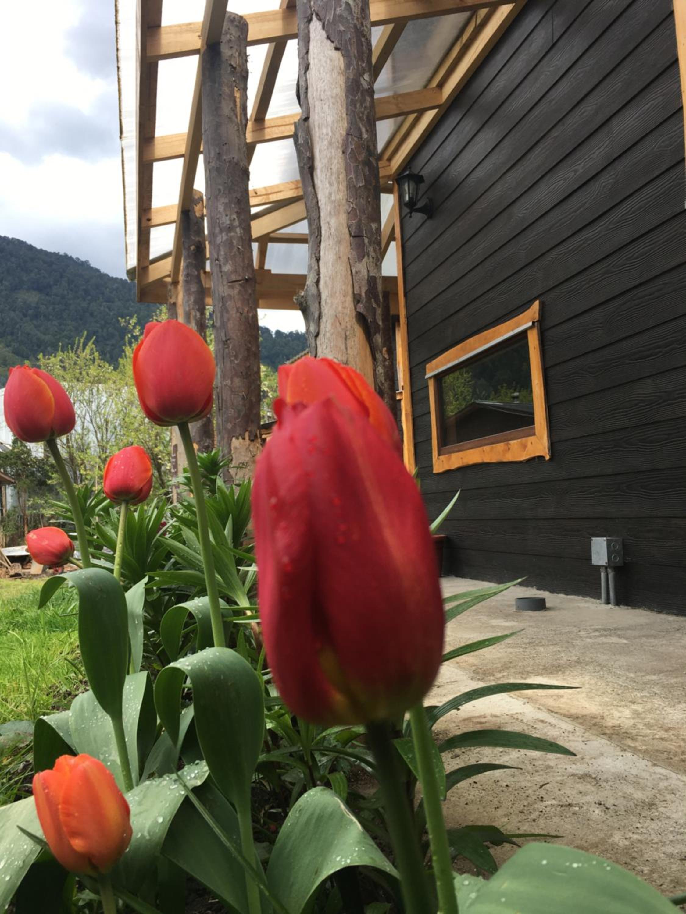 Cabanas Senderos Puyuhuapi