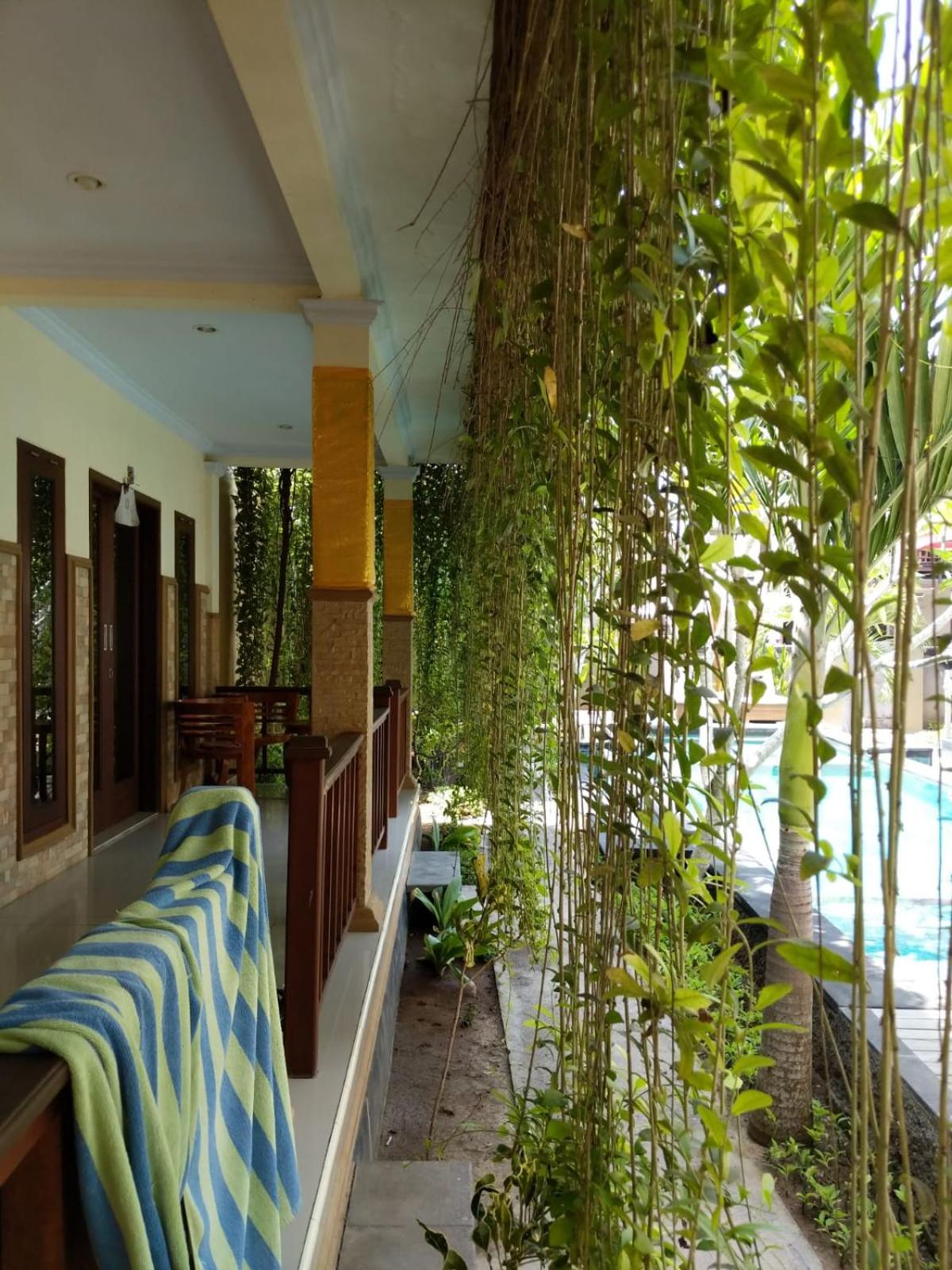 Walet's Paradise view 2
