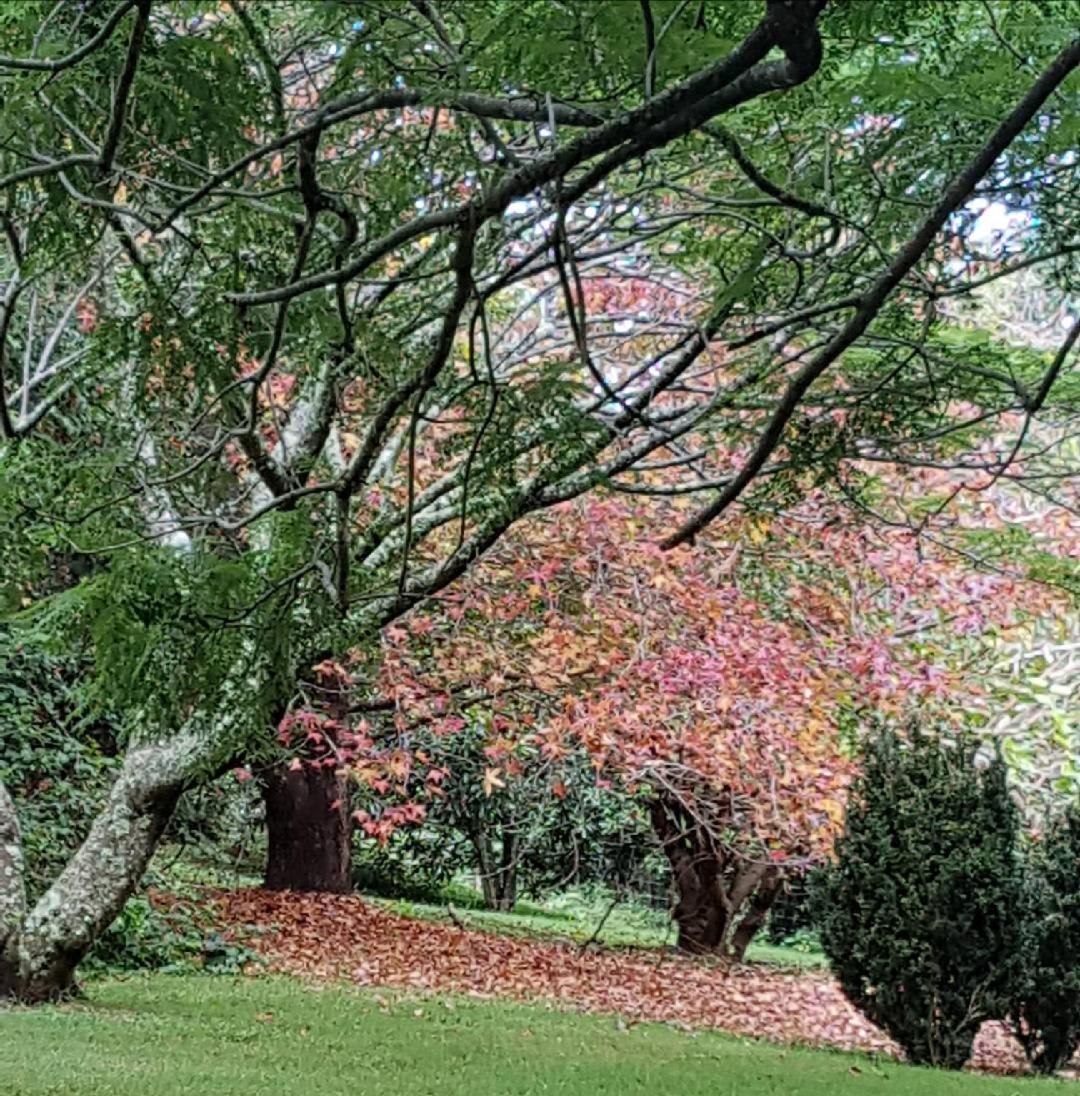 Wyndover Mountain Retreat