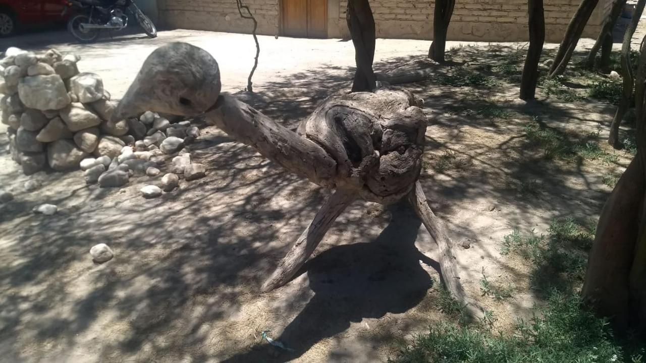 Camping Agreste 