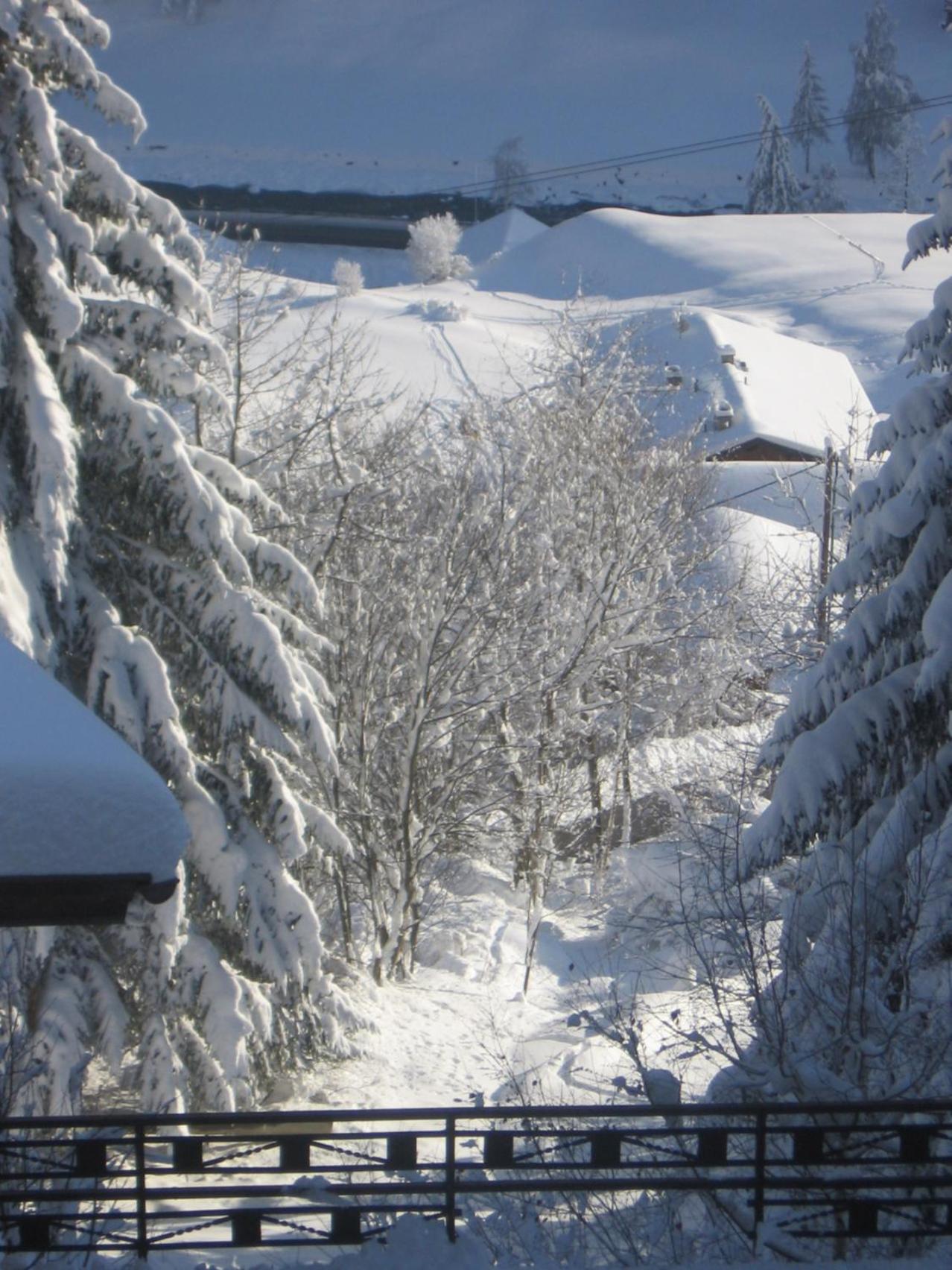 Apart Garni Astrada