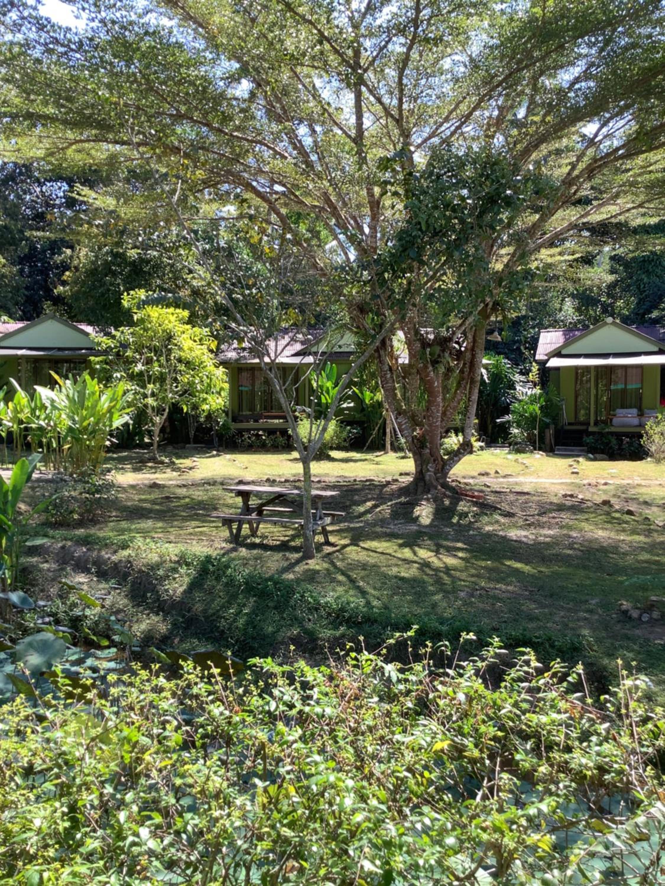 Hotel Baan Bua Cottage SHA EXTRA PLUS B5510 - Image 1