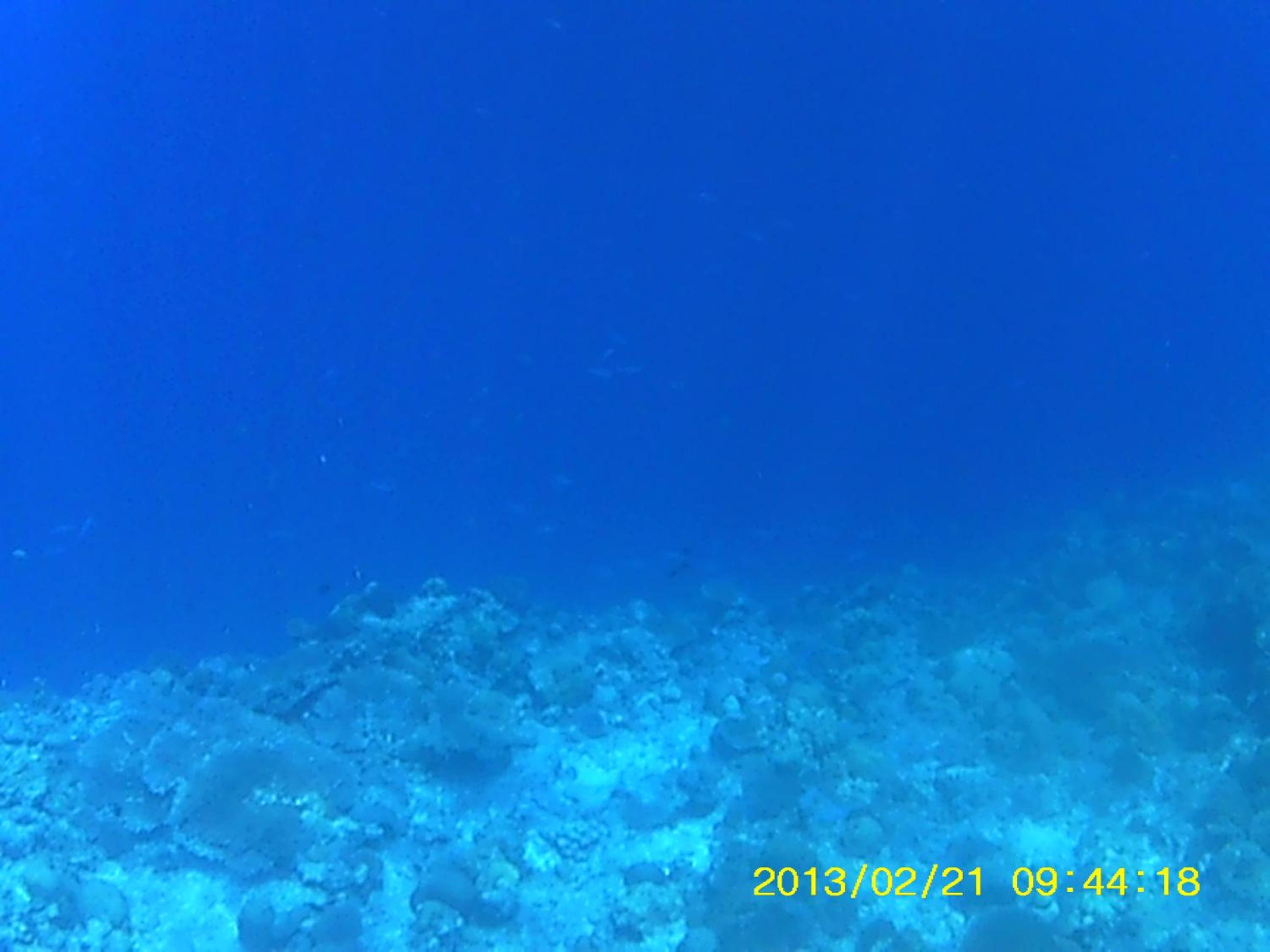 Bahari Lodge, K.Kaashidhoo