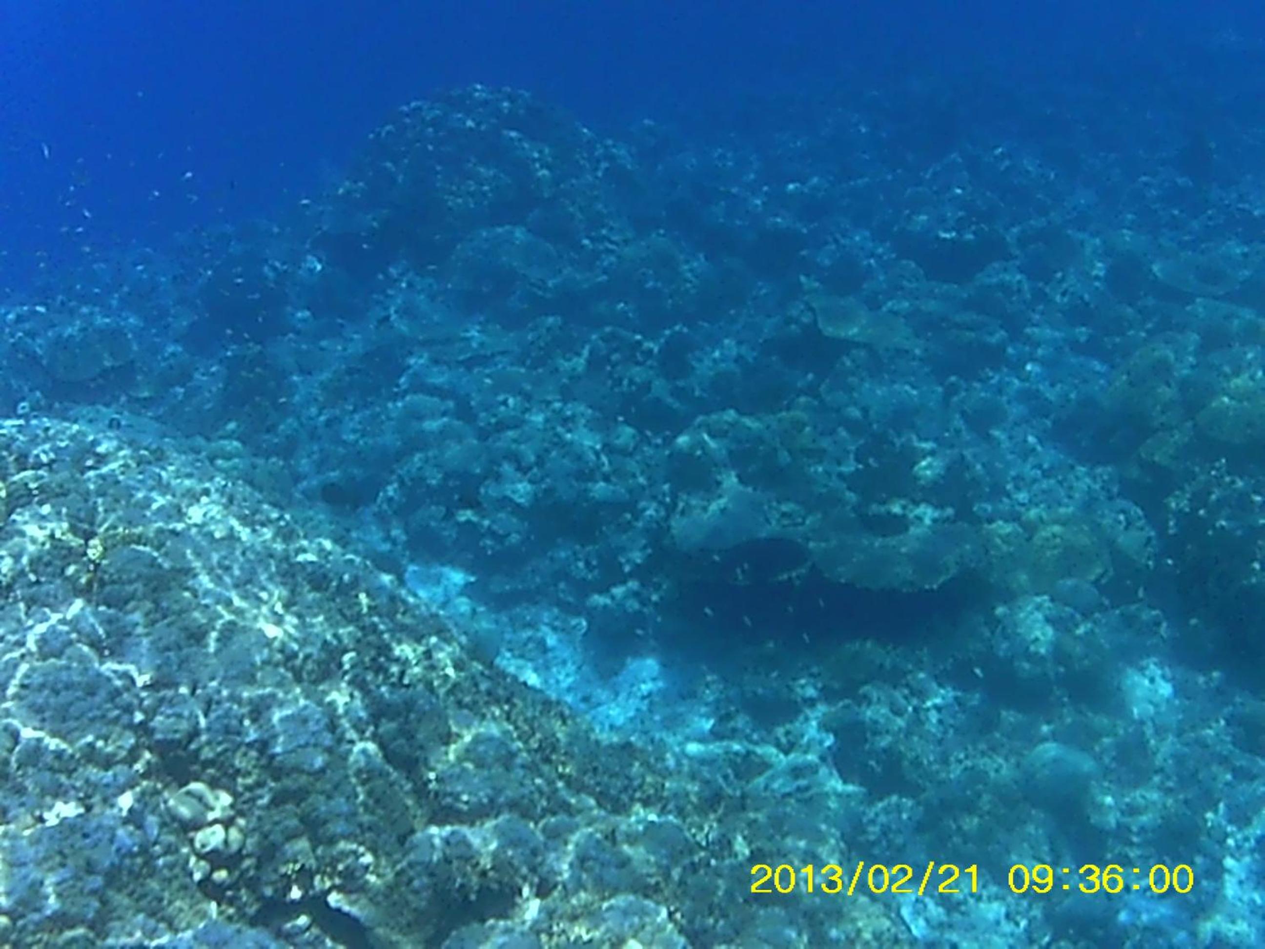 Bahari Lodge, K.Kaashidhoo