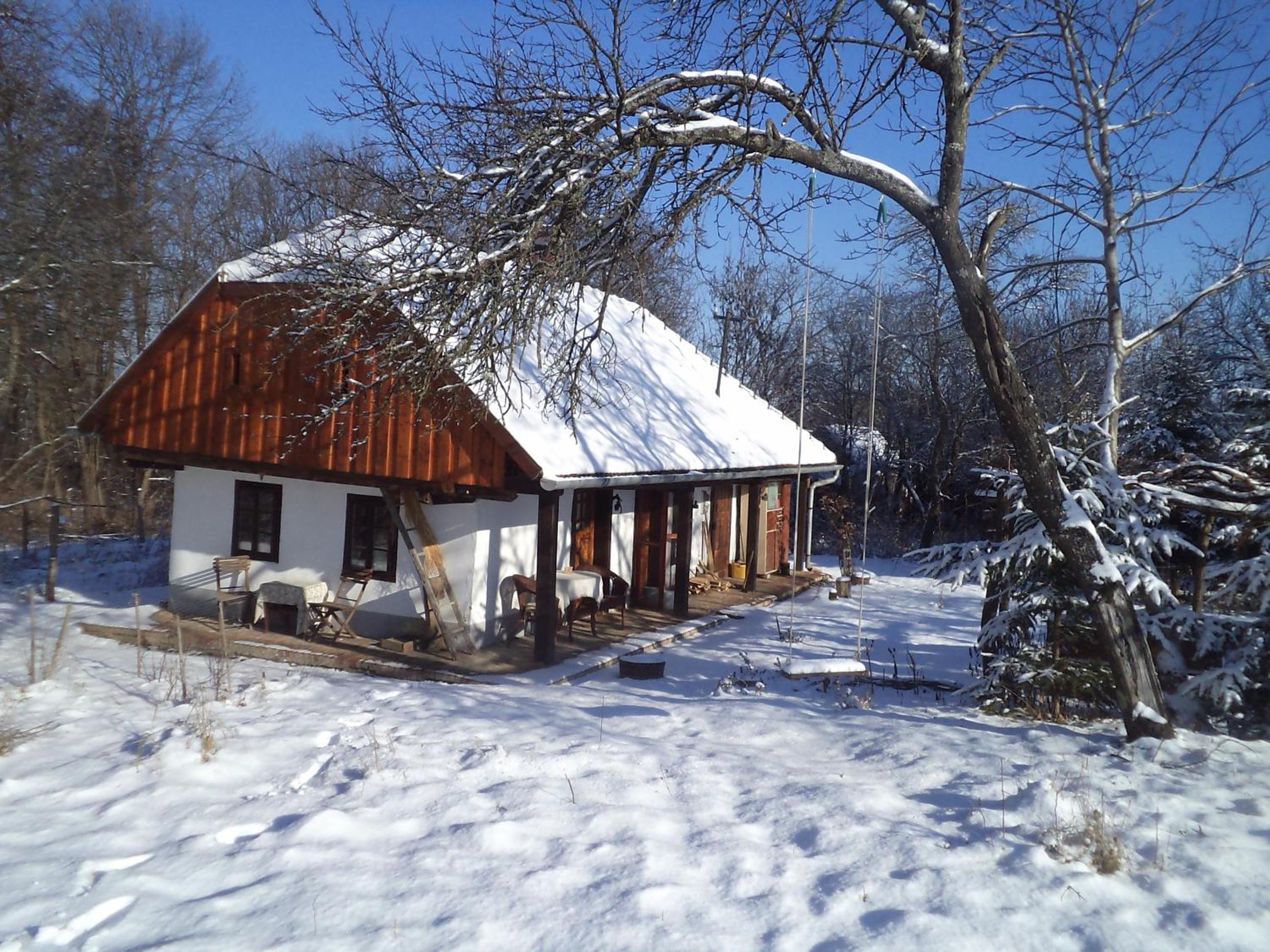 Photo 17