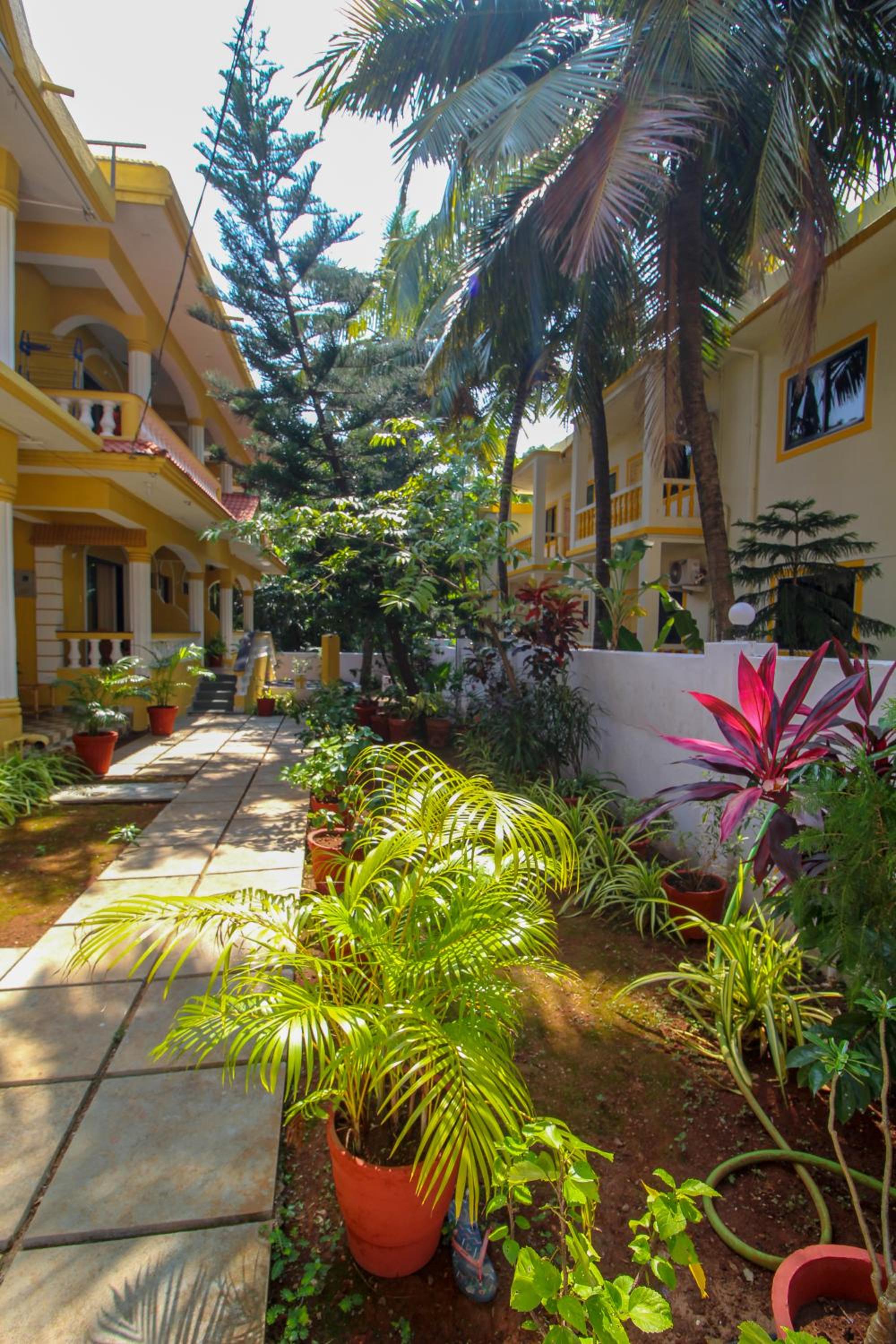 Photo 56