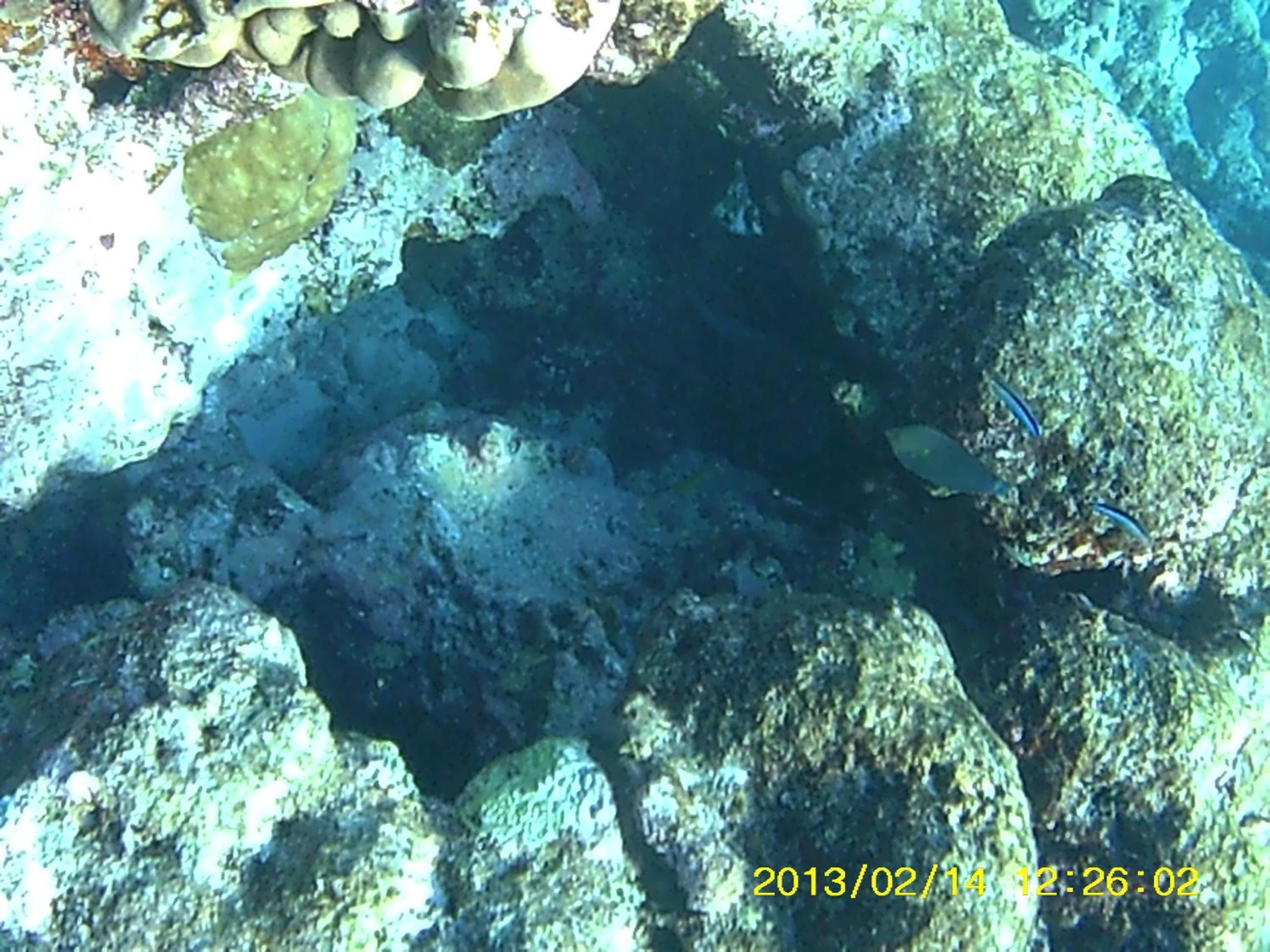 Bahari Lodge, K.Kaashidhoo