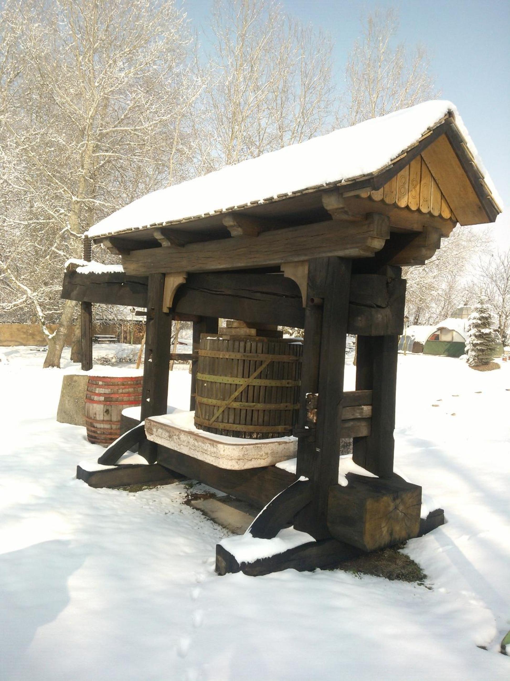 Photo 27