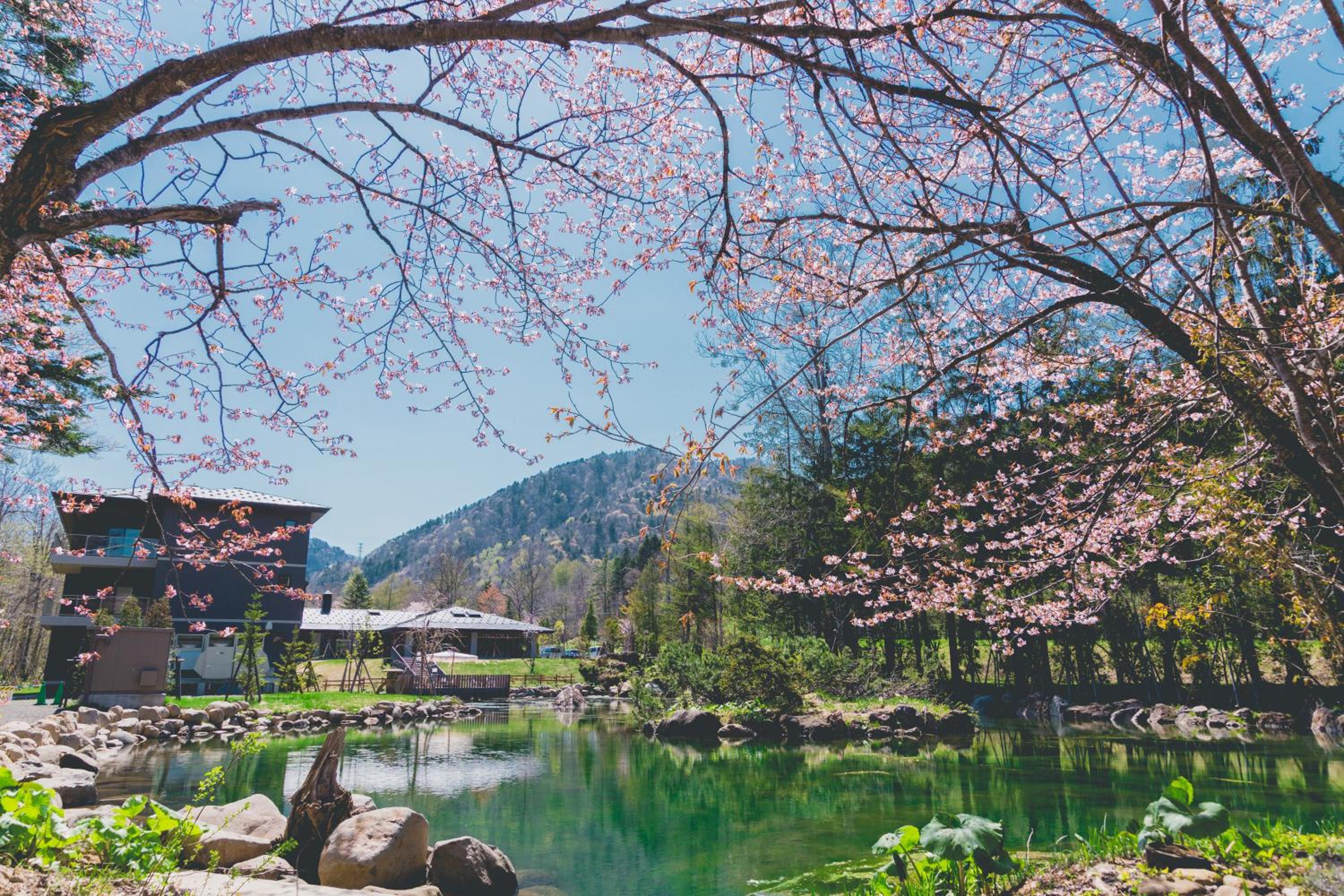 Okujozankei Onsen Kasho Gyoen, Φωτογραφία 69