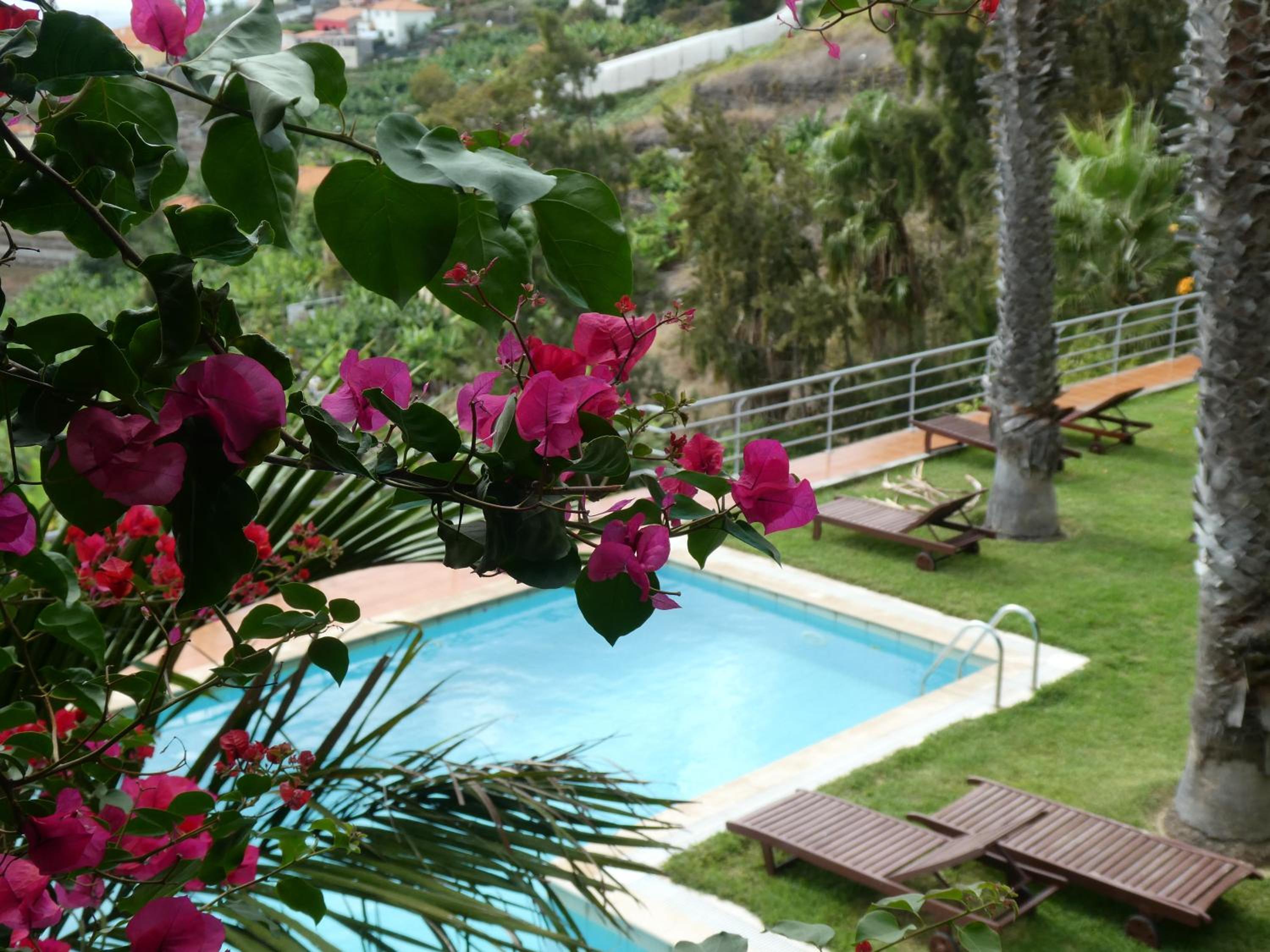 Casa do Papagaio Verde, photo 12