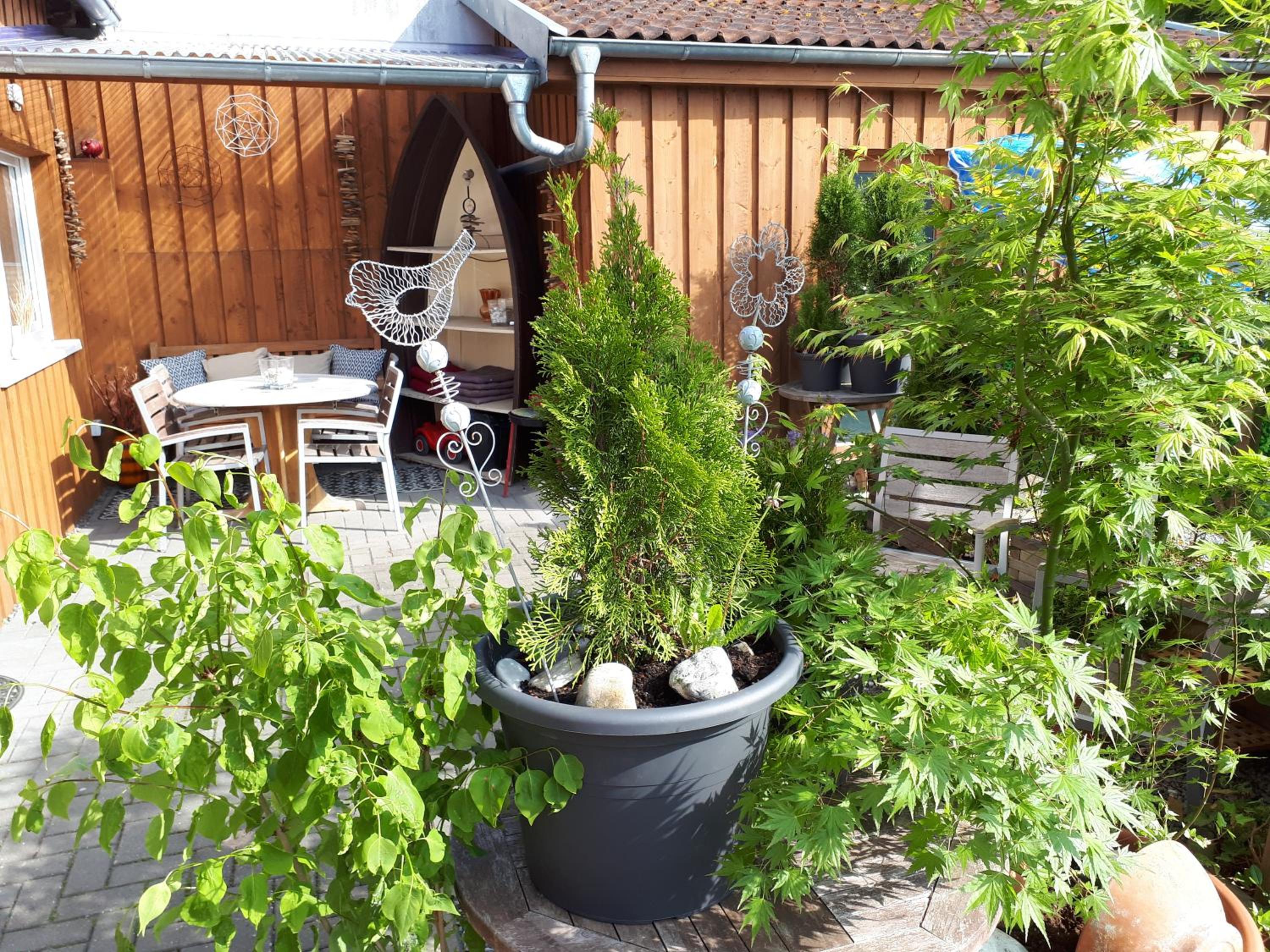Photo 42