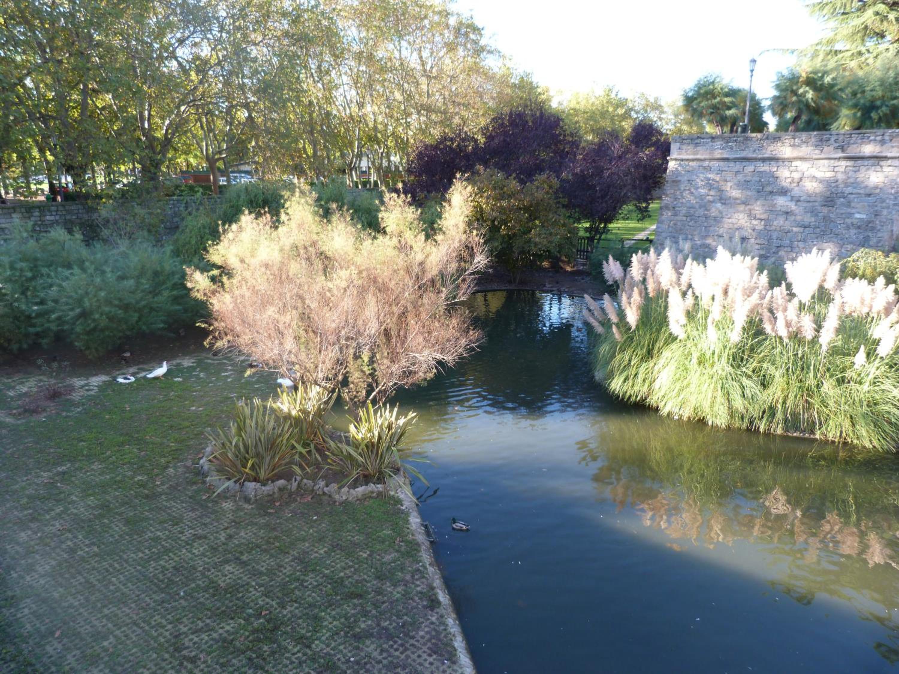Apartamento Berria view 4