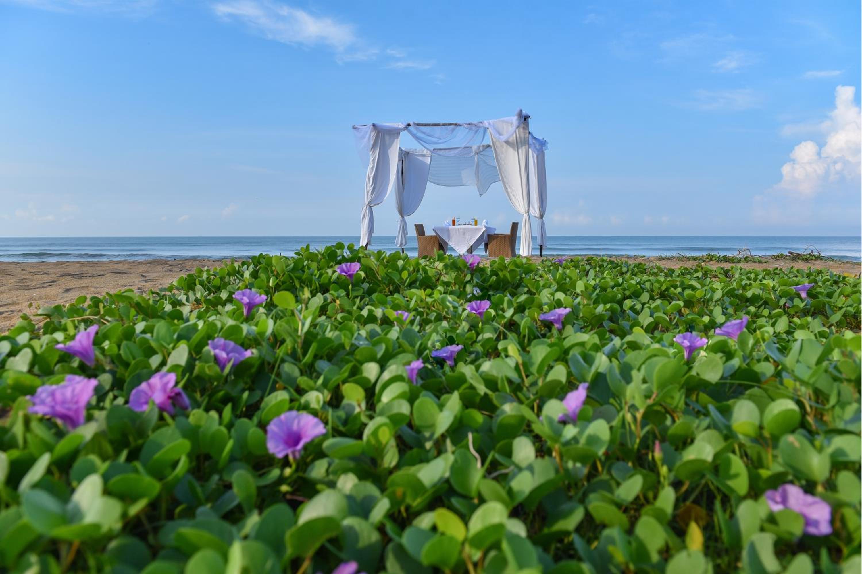 Clove Beach Wadduwa