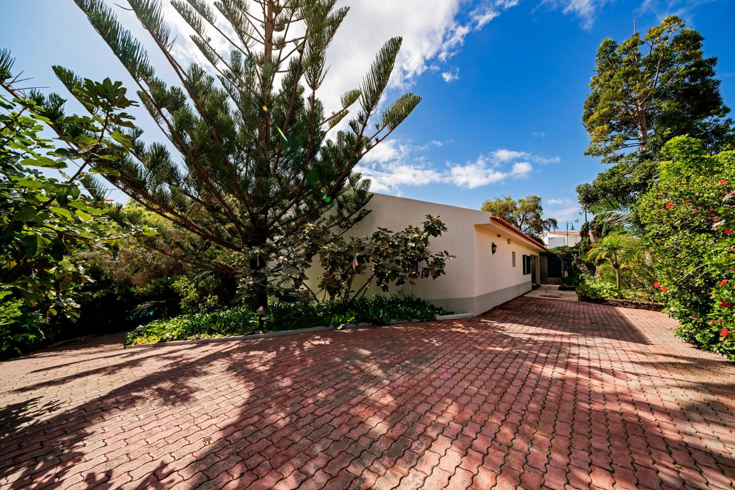 Villa Albatroz