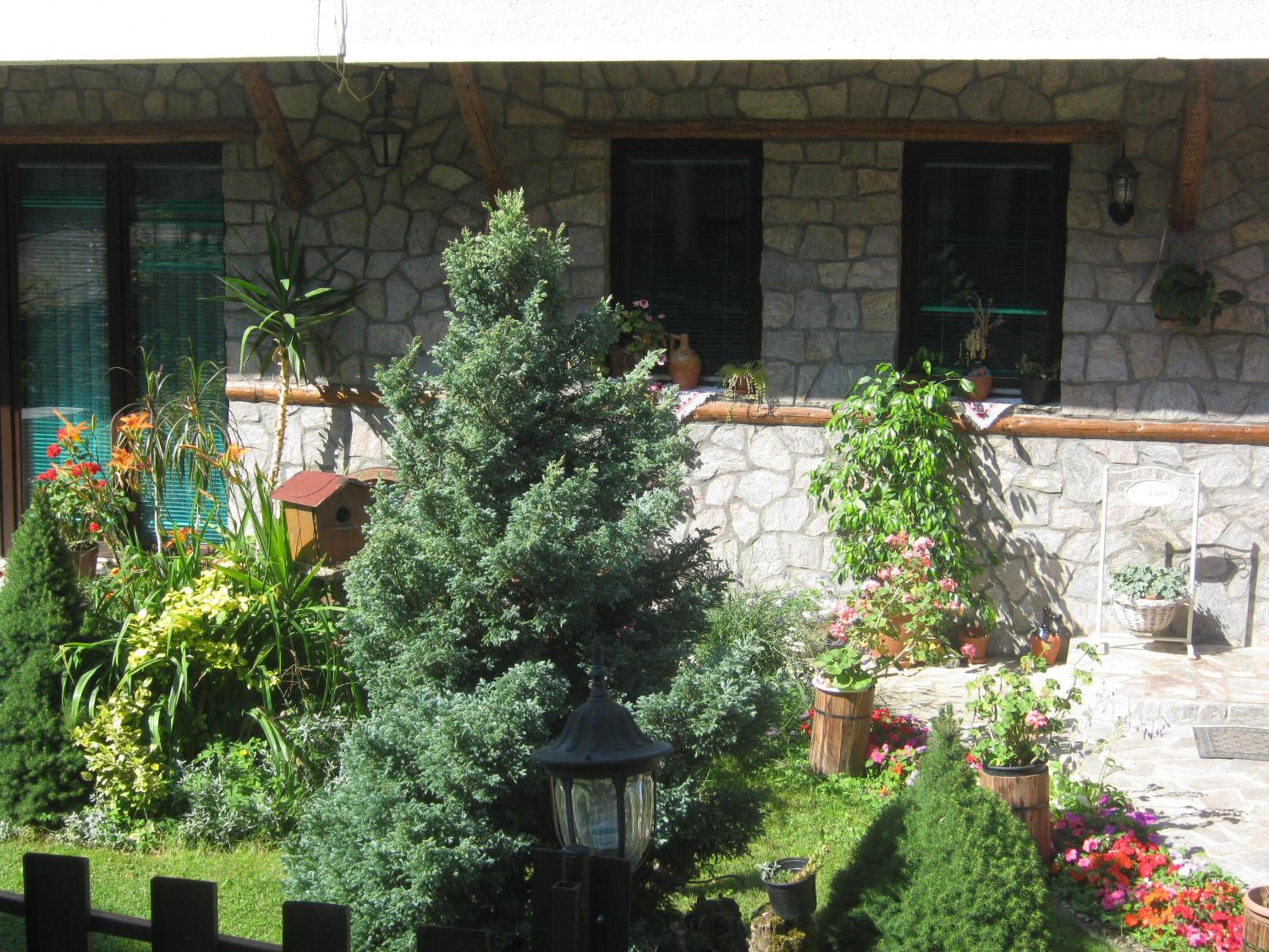 Photo 14