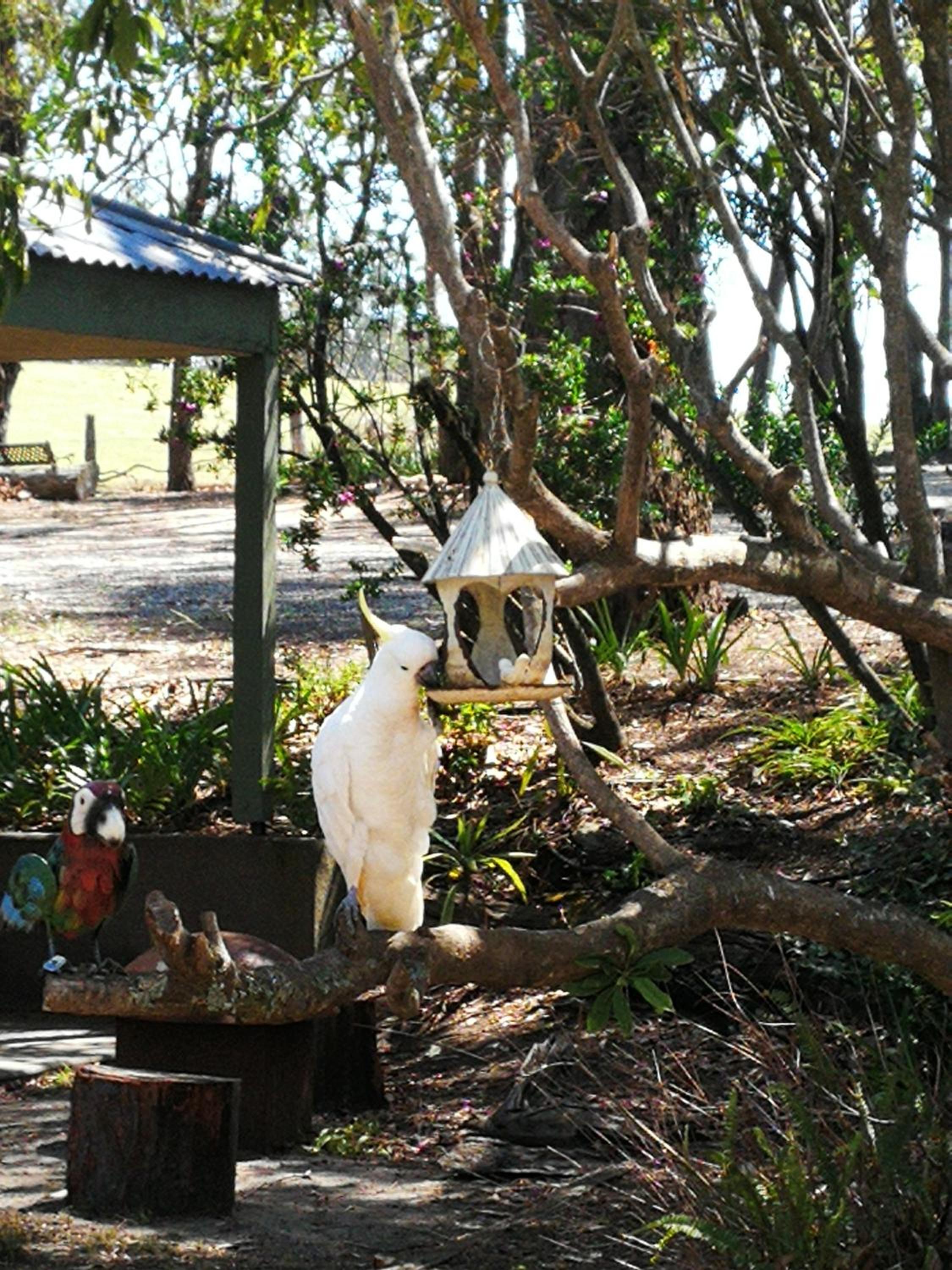 Photo 28