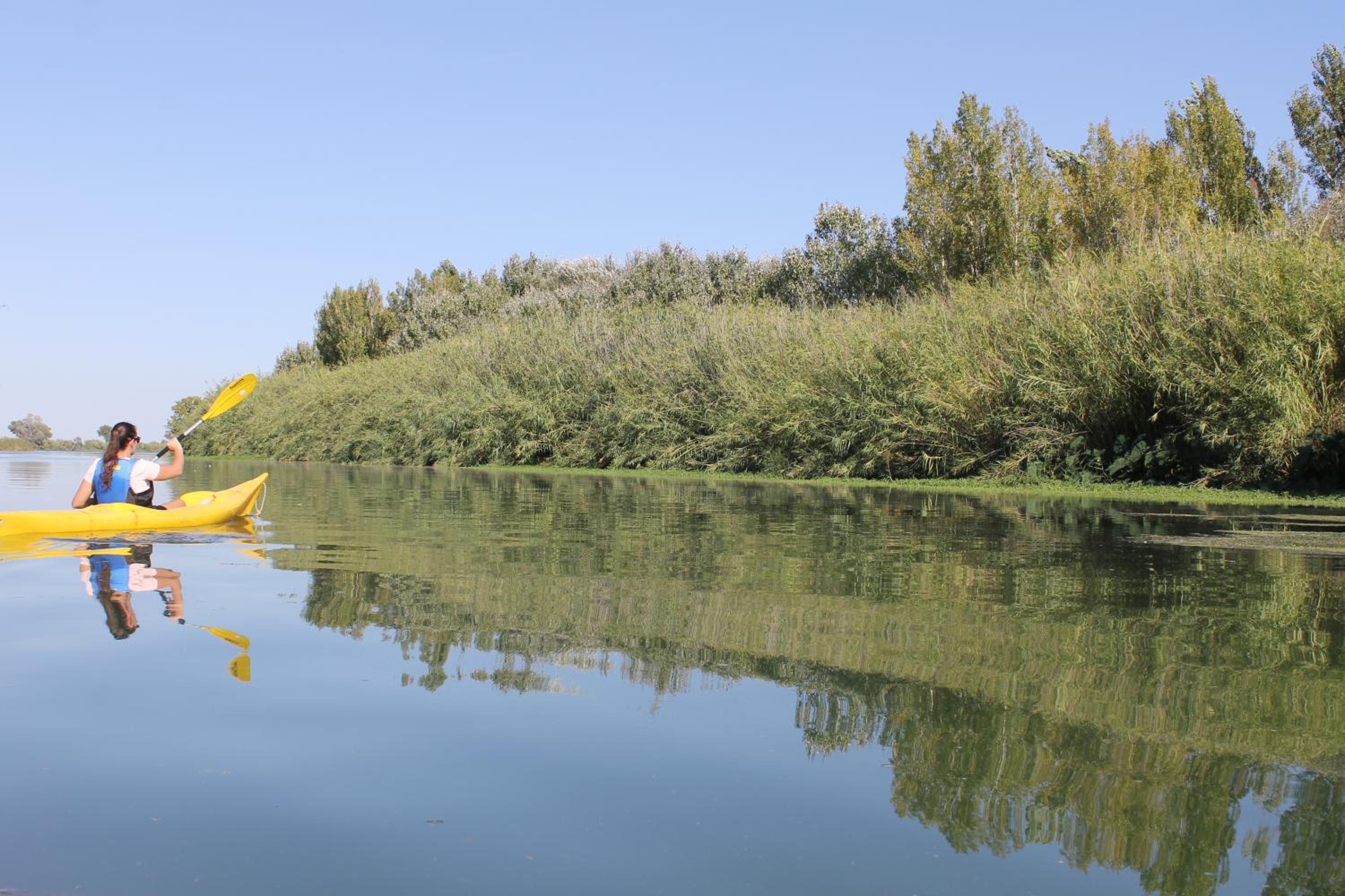 Alojamiento vacacional en el Delta del Ebro view 4