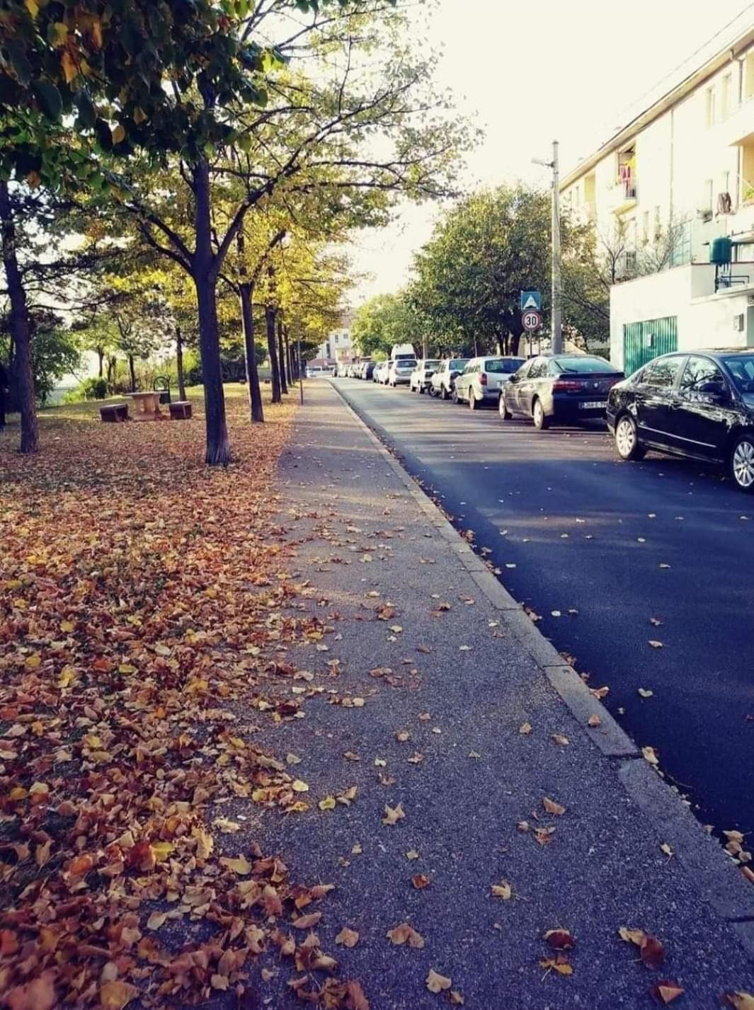 Ponte FREE PARKING