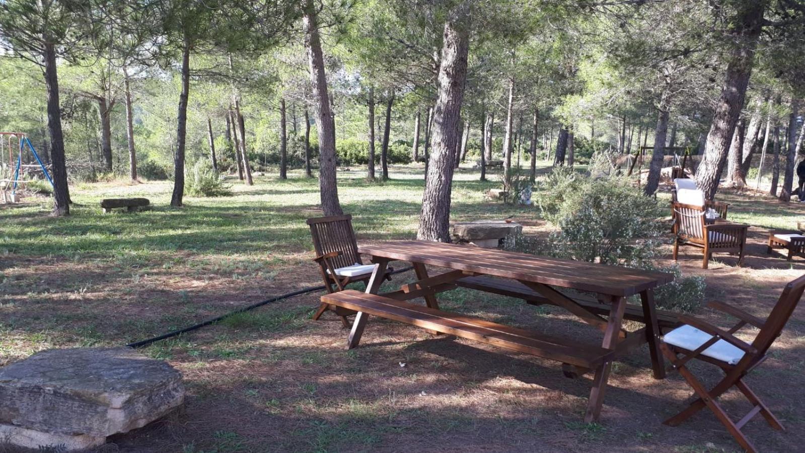 Alojamiento entero Casa de Campo en un Paraje Natural "El Caroche" view 3