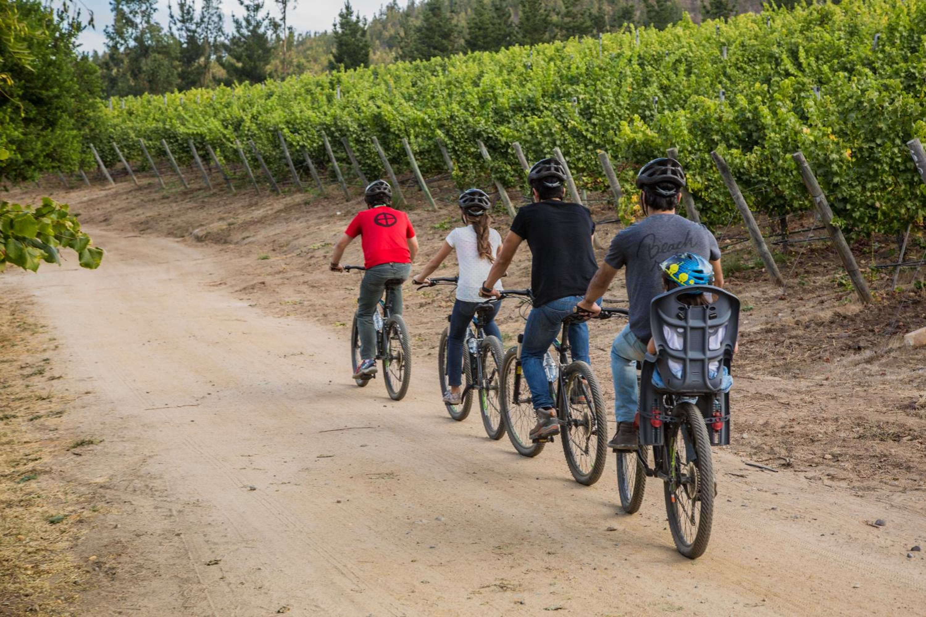 La Casona At Matetic Vineyards