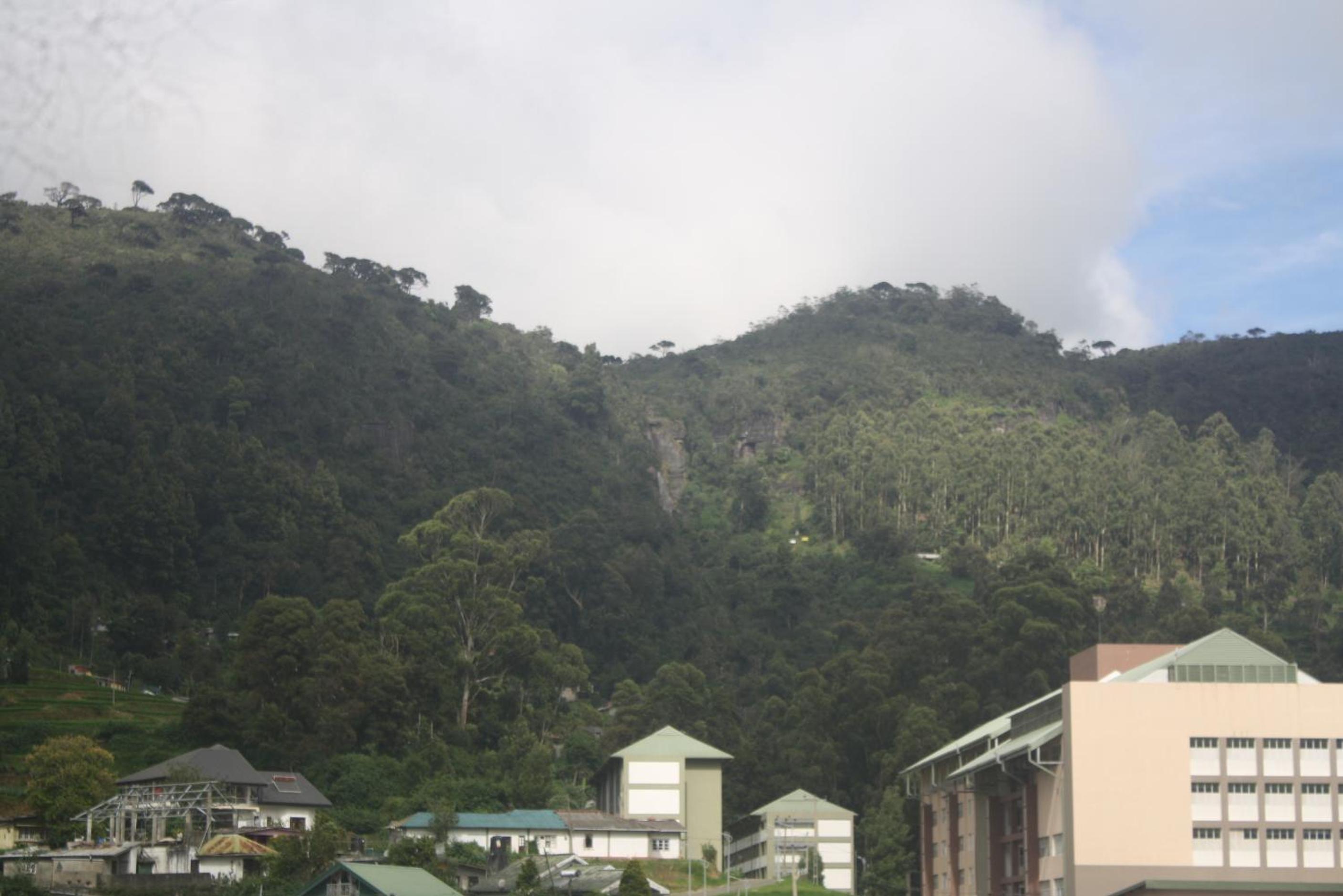 Photo 49