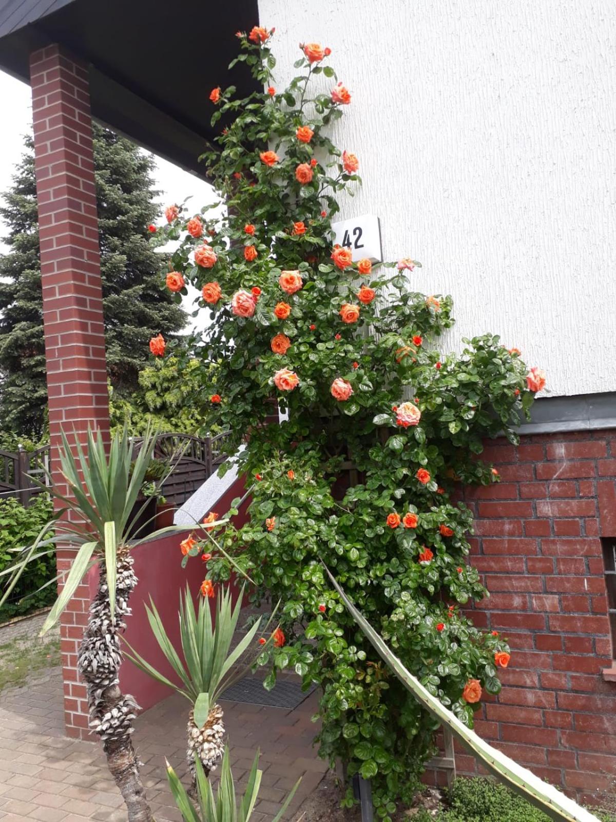 Ferienunterkunft in Berlin-Pankow Rosenthal