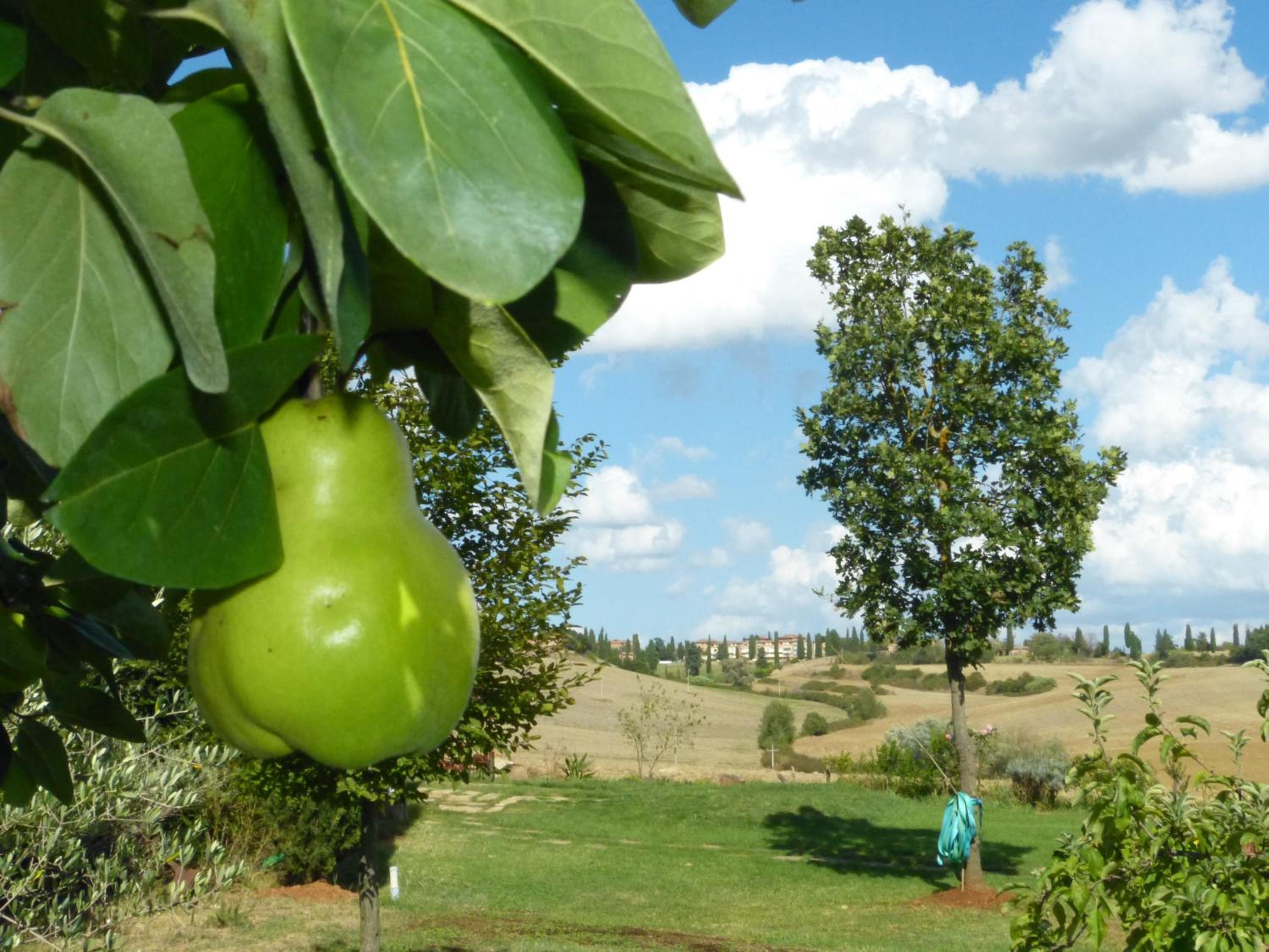 Casavacanze Casalta