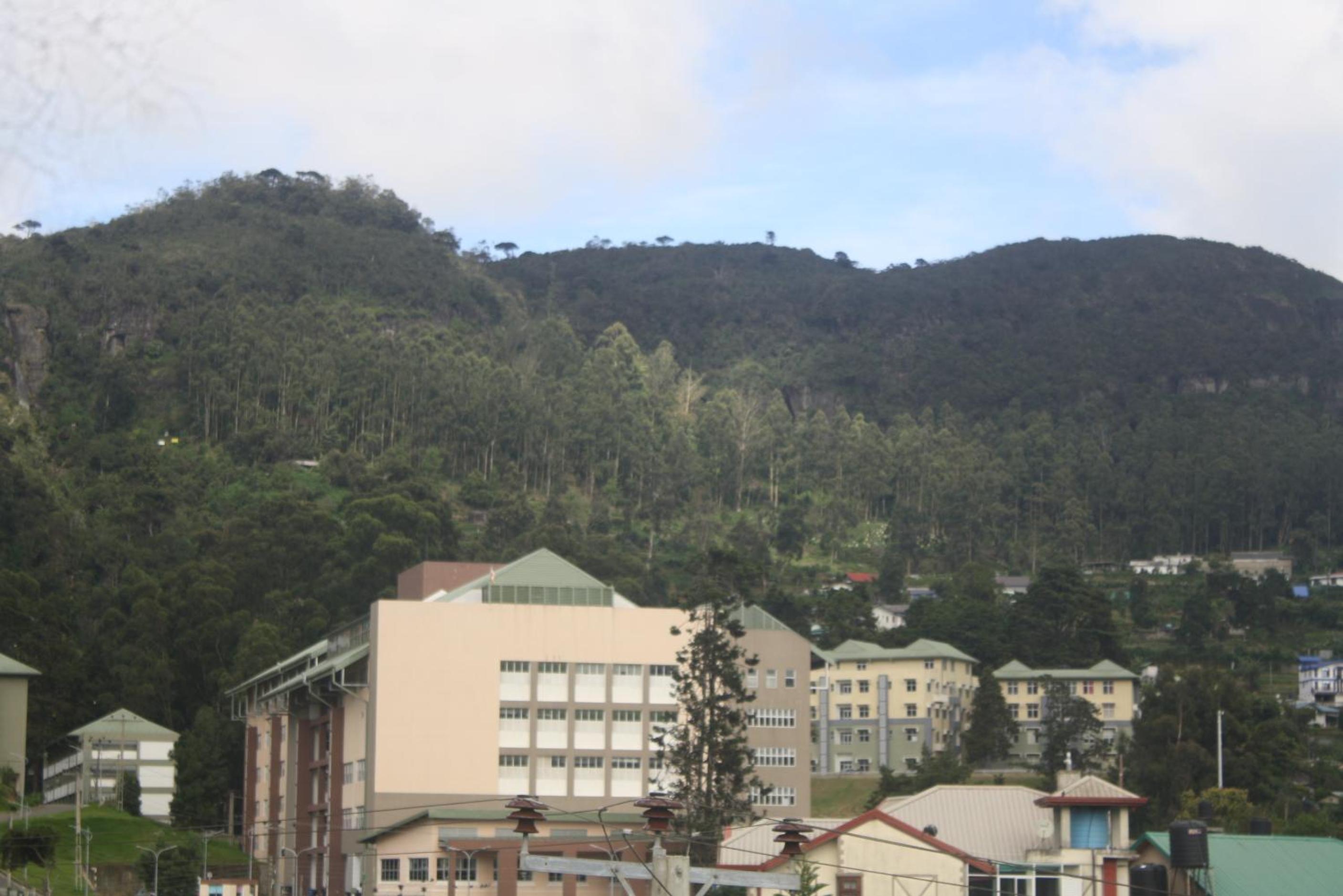 Photo 46