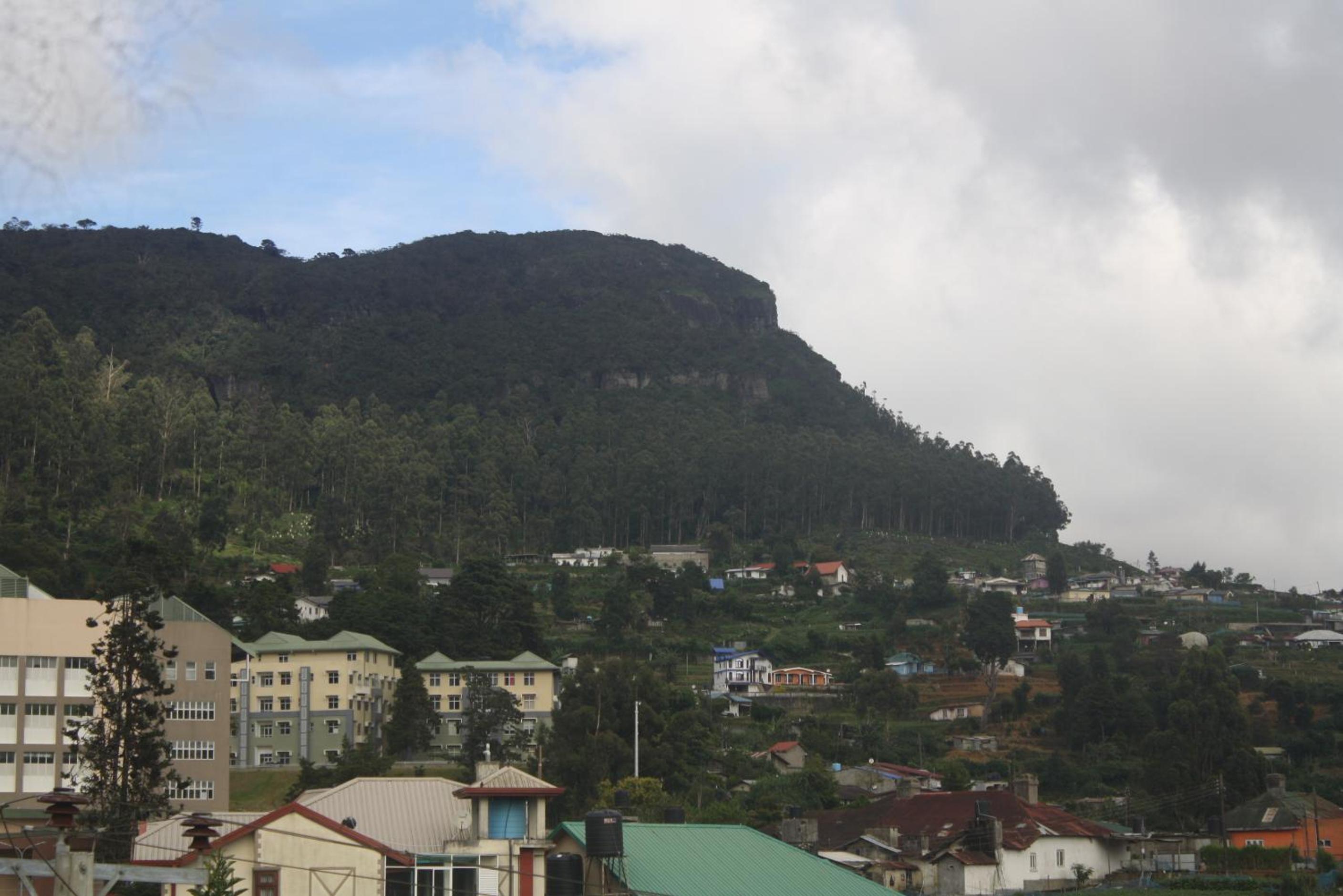 Photo 47
