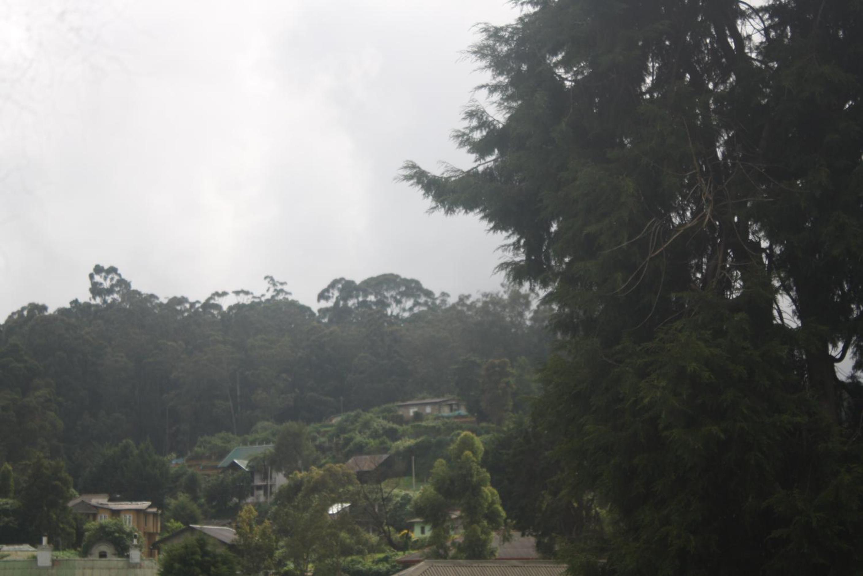 Photo 48