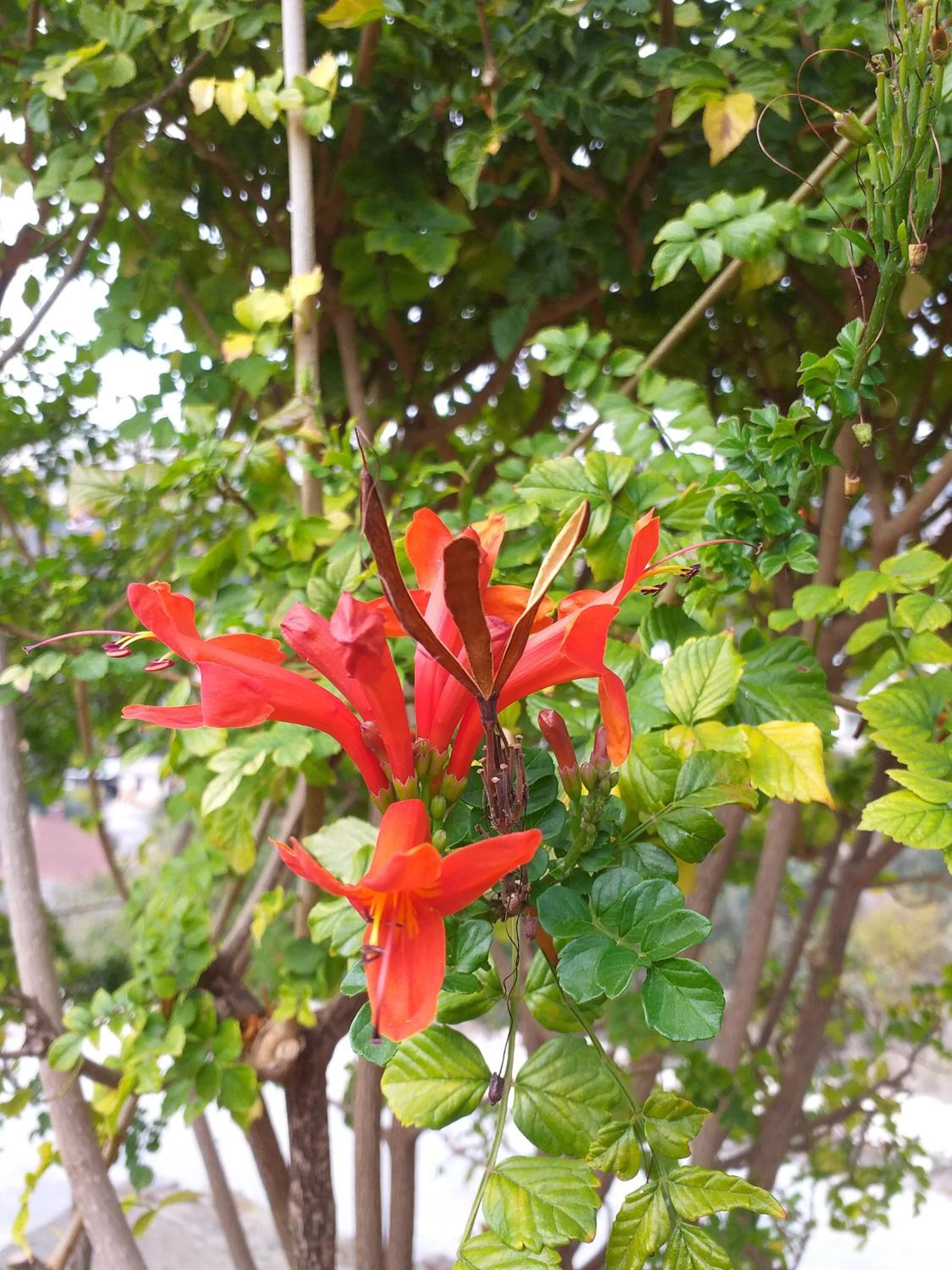 Photo 38