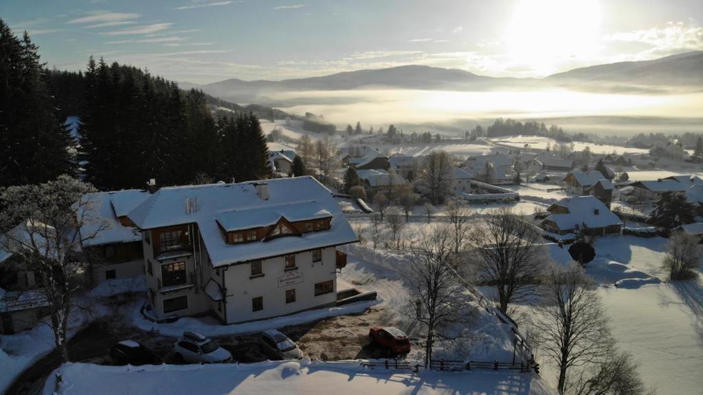 Panoramahaus Steiner